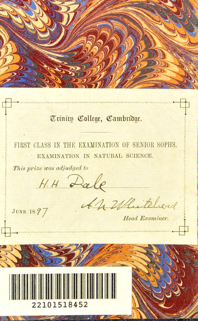 digitised image 2