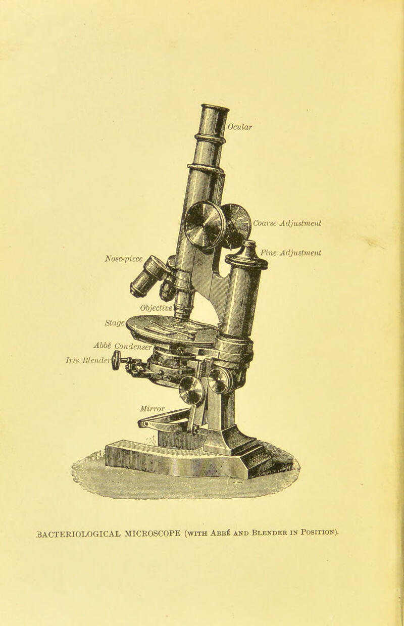 .BACTERIOLOGICAL MICROSCOPE (with Abb£ and Blender in Position).