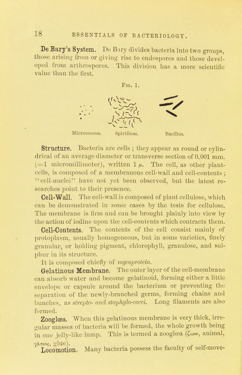 ESSENTIALS OF BACTERIOLOGY. De Bary's System. De B;iry divides bacteria into two groups, those arising froin or giving rise to endospores and tliose devel- oped from arllirospores. Tliis division lias a more scientific value than the first. Fig. 1. Structure. Bacteria are cells ; they appear as round or cylin- drical of an average diameter or transverse section of 0.001 mm. (=1 micromillimeter), written 1 fx.. The cell, as other plant- cells, is composed of a membranous cell-wall and cell-contents ; cell-nuclei have not yet been observed, but the latest re- searches point to their presence. Cell-Wall. The cell-wall is composed of plant cellulose, which can be demonstrated in some cases by the tests for cellulose. The membrane is firm and can be brought plainly into view by the action of iodine upon the cell-contents which contracts them. Cell-Contents. The contents of the cell consist mainly of protoplasm, usually homogeneous, but in some varieties, finely granular, or holding pigment, chloi-ophyll, granulose, and sul- phur in its structure. It is composed chiefly of mycoprolein. Gelatinous Membrane. The outer layer of the cell-membrane can absorb water and become gelatinoid, forming either a little envelope or capsule around the bacterium or preventing the separation of the newly-branched germs, forming chains and bunches, as sLrepto- and starphylo-cocci. Long filaments are also formed. Zoogloea. When this gelatinous membrane is very thick, irre- gular masses of bacteria will be formed, the whole growth being in one jelly-like lump. This is termed a zoogloea (ftoo>/, animal, •yXaio?, glue). , - ,i ^. ,o Locomotion. Many bacteria possess the faculty of self-move-