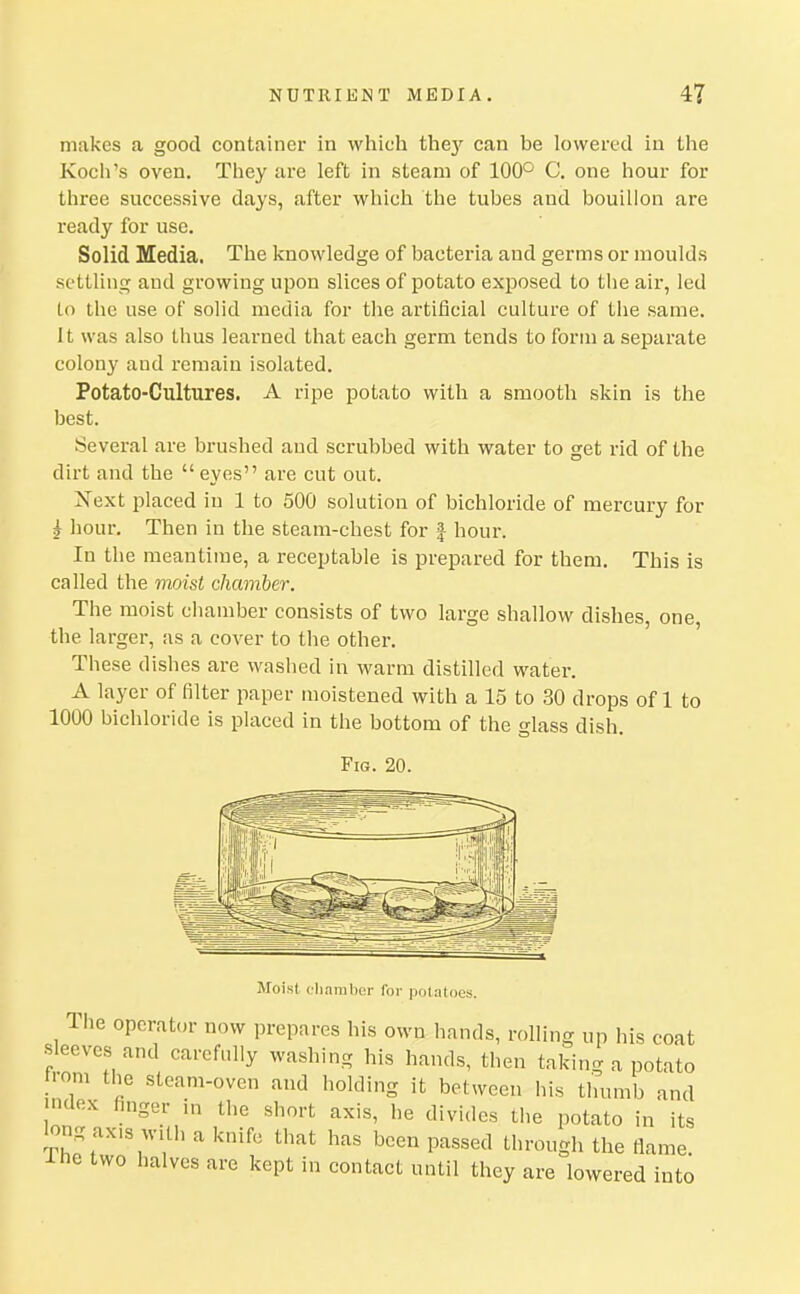 NUTRIENT MEDIA. 4T makes a good container in which the}' can be lowered in the Koch's oven. They are left in steam of 100° C. one hour for three successive days, after which the tubes and bouillon are ready for use. Solid Media, The knowledge of bacteria and germs or moulds settling and growing upon slices of potato exposed to the air, led to the use of solid media for the artificial culture of the same, it was also thus learned that each germ tends to form a separate colony and remain isolated. Potato-Cultures. A ripe potato with a smooth skin is the best. Several are brushed and scrubbed with water to get rid of the dirt and the eyes are cut out. Xext placed in 1 to 500 solution of bichloride of mercury for ^ hour. Then in the steam-chest for | hour. In the meantime, a receptable is prepared for them. This is called the nwist chamber. The moist cliamber consists of two large shallow dishes, one the larger, as a cover to the other. These dishes are washed in warm distilled water. A layer of filter paper moistened with a 15 to 30 drops of 1 to 1000 bichloride is placed in the bottom of the glass dish. Fig. 20. Moist chainlier for potatoes. Hie operator now prepares his own hands, rolling up his coat sleeves and carefully washing his hands, then taking a potato ti-om the steam-oven and holding it between his thumb and index finger in the short axis, he divides the potato in its long ax,s with a knife that has been passed through the flame. Ihe two halves are kept in contact until they are lowered into