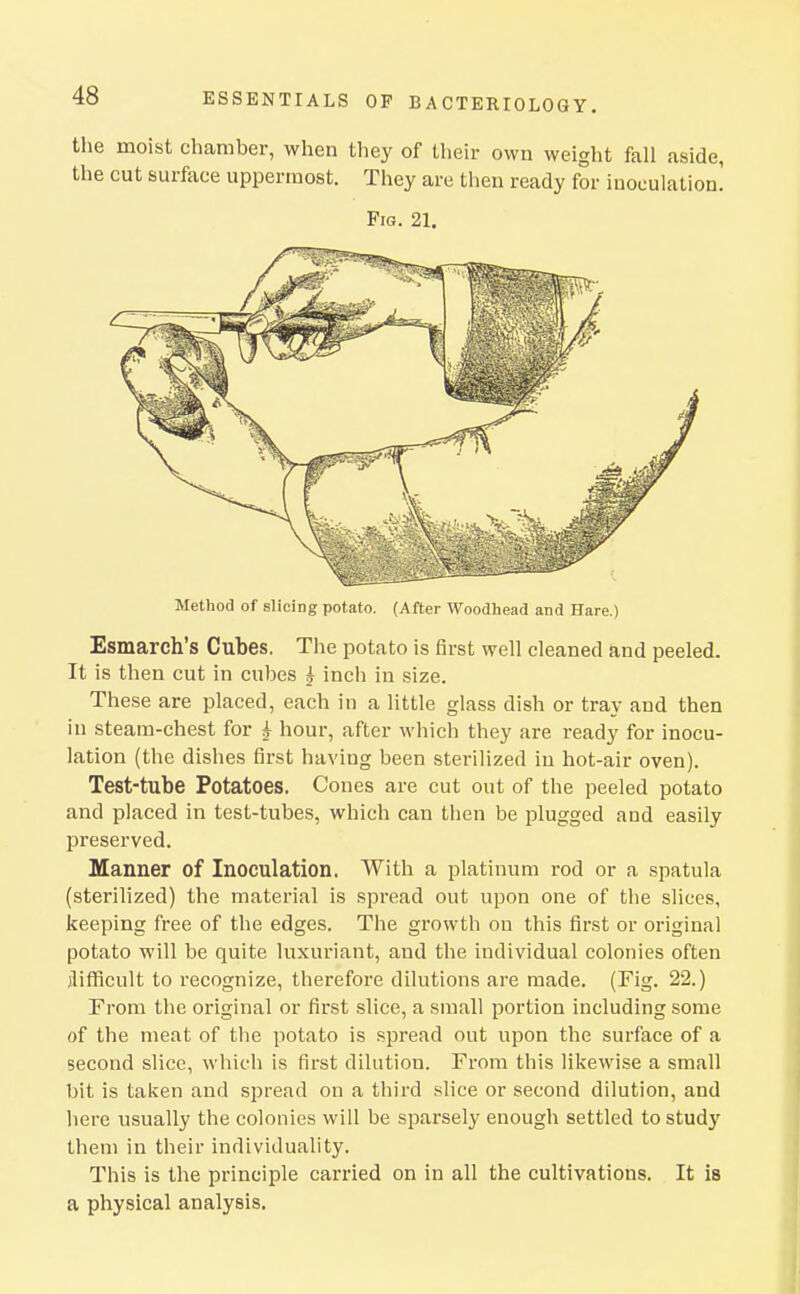 the moist chamber, when they of their own weight fall aside, the cut surface uppermost. They are then ready for inoculation! Fig. 21. Method of slicing potato. (After Woodhead and Hare.) Esmarch's Cubes. The potato is first well cleaned and peeled. It is then cut in cubes i inch in size. These are placed, each in a little glass dish or tray and then in steam-chest for ^ hour, after which they are ready for inocu- lation (the dishes first having been sterilized in hot-air oven). Test-tube Potatoes. Cones are cut out of the peeled potato and placed in test-tubes, which can then be plugged and easily preserved. Manner of Inoculation. With a platinum rod or a spatula (sterilized) the material is spread out upon one of the slices, keeping free of the edges. The growth on this first or original potato will be quite luxuriant, and the individual colonies often )lifficult to recognize, therefore dilutions are made. (Fig. 22.) From the original or first slice, a small portion including some of the meat of the potato is spread out upon the surface of a second slice, which is first dilution. From this likewise a small bit is taken and spread on a third slice or second dilution, and here usually the colonies will be sparsely enough settled to study them in their individuality. This is the principle cari-ied on in all the cultivations. It is a physical analysis.