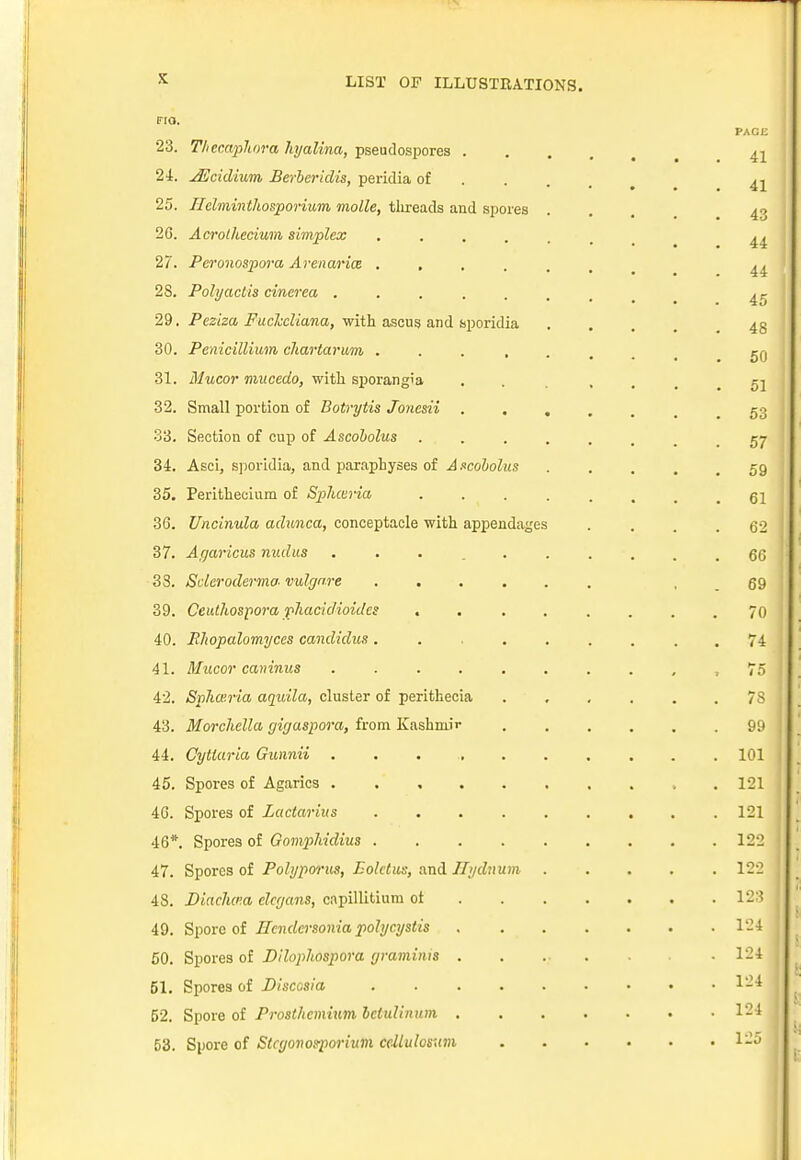 23. Thecwphora hyalina, pseudospores . 24. jEcidium Berber idis, peridia of 25. Ilclminthosporium molle, threads and spores 26. Acrothecium simplex ..... 27. Pcronospora Arenarice ..... 2S. Polyactis cinerea ...... 29. Peziza Fuclccliana, with ascus and sporidia 30. Penicillium cJiartarum ..... 31. Mucor mucedo, with sporangia 32. Small portion of Botrytis Jonesii . . . 33. Section of cup of Ascobolus .... 34. Asci, sporidia, and paraphyses of Ascobolus 35. Perithecium of Sphceria .... 36. Uncinula aduiica, conceptacle with appendages 37. Agaricus nudus ... . . 33. Scleroderma vulgare ..... 39. Ceuthospora phacidioides .... 40. Bhopalomyces candidus..... 41. Mucor cainnus ...... 42. Spha'.ria aquila, cluster of perithecia 43. Morchella gigaspora, from Kashmii- 44. Cytlaria Gunnii ...... 45. Spores of Agarics ...... 46. Spores of Lactarius ..... 46*. Spores of Gomphidius 47. Spores of Polyporus, Boletus, and Hydnum . 48. DiacJioia elcgans, capillitium of 49. Spore of Hcndcrsonia polycystis 50. Spores of Dilopliospora gramims . 51. Spores of Biscasia 52. Spore of Prosthcmium bclidinum . 53. Spore of Stcgovos-poriam ccllulosxm