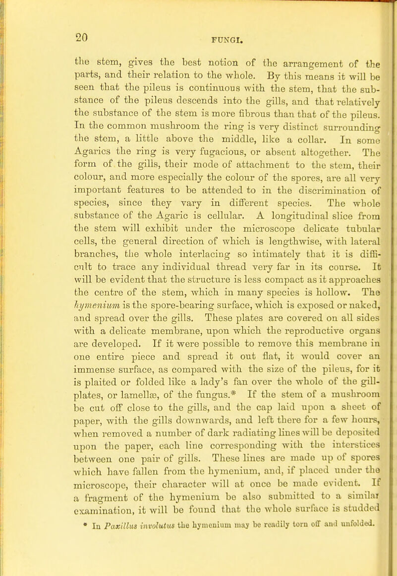 the stem, gives the best notion of the arrangement of the parts, and their relation to the whole. By this means it will be seen that the pileus is continuous with the stem, that the sub- stance of the pileus descends into the gills, and that relatively the substance of the stem is more fibrous than that of the pileus. In the common mushroom the ring is very distinct surrounding the stem, a little above the middle, Hke a collar. In some Agarics the ring is very fugacious, or absent altogether. The form of the gills, their mode of attachment to the stem, their colour, and more especially the colour of the spores, are all very important features to be attended to in the discrimination of species, since they vary in different species. The whole substance of the Agaric is cellular. A longitudinal slice from the stem will exhibit under the microscope delicate tubular cells, the general direction of which is lengthwise, with lateral branches, the whole interlacing so intimately that it is diffi- cult to trace any individual thread veiy far in its course. It will be evident that the structure is less compact as it approaches the centre of the stem, which in many species is hollow. The hymenium is the spore-bearing surface, which is exposed or naked, and spread over the gills. These plates are covered on all sides with a delicate membrane, upon which the reproductive organs are developed. If it were possible to remove this membrane in one entire piece and spread it out flat, it would cover an immense surface, as compai-ed with the size of the pileus, for it is plaited or folded like a lady's fan over the whole of the gill- plates, or lamellae, of the fungus.* If the stem of a mushroom be cut off close to the gills, and the cap laid upon a sheet of paper, with the gills downwards, and left there for a few hours, when removed a number of dark radiating lines will be deposited upon the paper, each line corresponding with the interstices between one pair of gills. These lines are made up of spores which have fallen from the hymenium, and. if placed under the microscope, their character will at once be made evident. If a fragment of the hymenium be also submitted to a similar examination, it will be found that the whole surface is studded * Iu Paxillus involutus the hymenium may be readily torn off and unfolded.