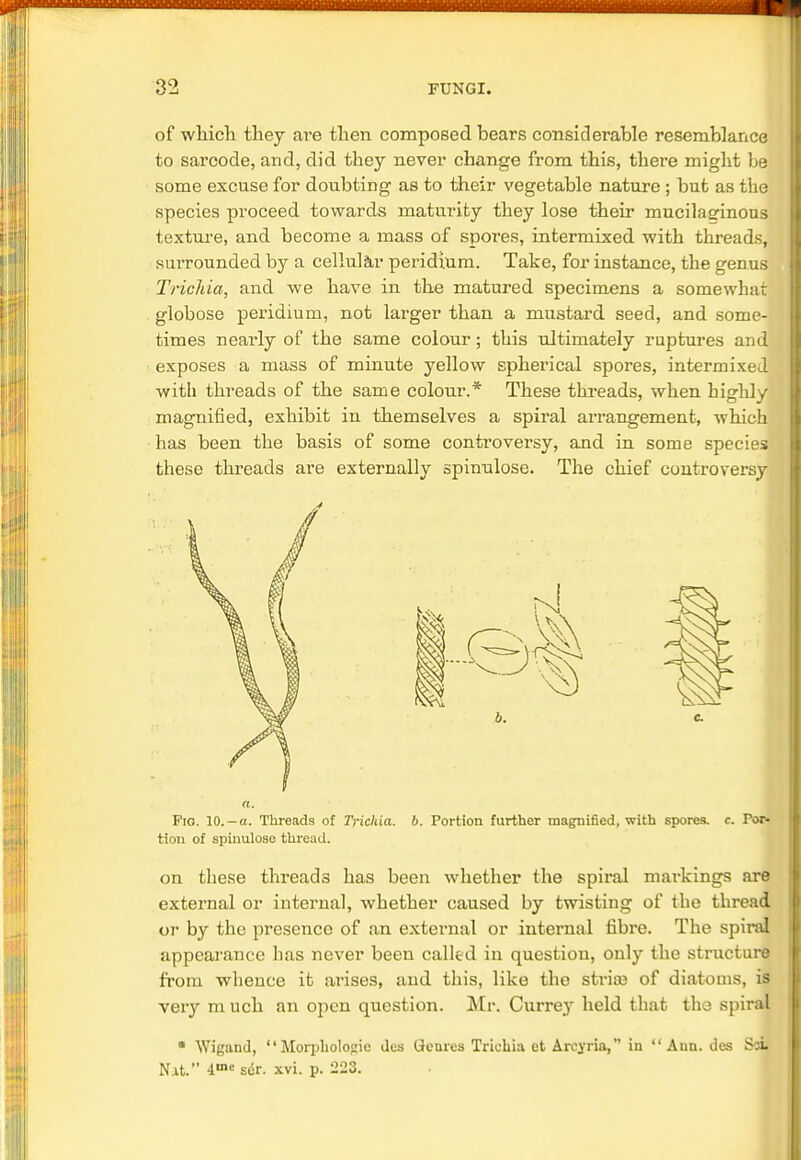 of which they ai'e then composed bears considerable resemblance to sarcode, arid, did they never change from this, there might be some excuse for doubting as to their vegetable nature ; but as the species proceed towards maturity they lose their mucilaginous texture, and become a mass of spores, intermixed with threads, surrounded by a cellular peridiura. Take, for instance, the genus Trichia, and we have in the matured specimens a somewhat globose peridium, not larger than a mustard seed, and some- times nearly of the same colour; this ultimately ruptures and exposes a mass of minute yellow spherical spores, intermixed with threads of the same colour.* These threads, when highly magnified, exhibit in themselves a spiral arrangement, which has been the basis of some controversy, and in some species these threads are externally spinulose. The chief controversy Pio. 10.-a. Threads of Trichia. b. Portion further magnified, with spores, c. Por- tion of spinulose thread. on these threads has been whether the spiral markings are external or internal, whether caused by twisting of the thread or by the presence of an external or internal fibre. The spiral appearance has never been called in question, only the structure from whence it arises, and this, like the stria3 of diatoms, if very m uch an open question. Mr. Currey held that the spiral • Wigand, Morphologic des Genres Trichia et Aroyria, in Ann. des SoL Nit. 4me sdr. xvi. p. 223.