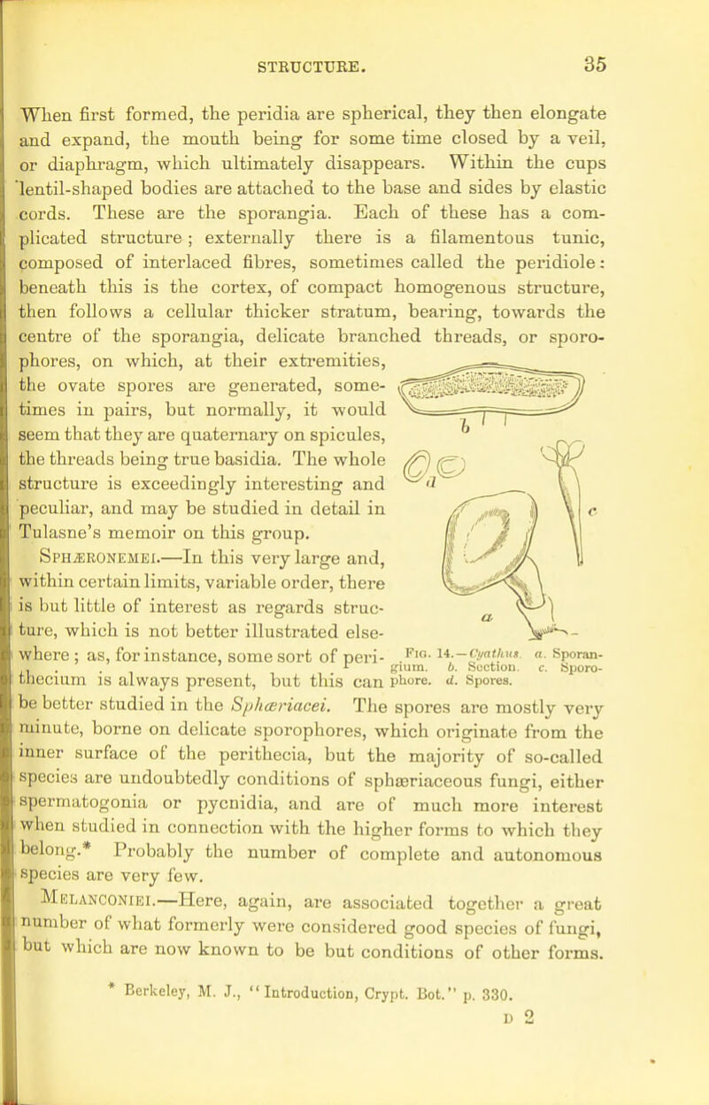 When first formed, the peridia are spherical, they then elongate and expand, the mouth being for some time closed by a veil, or diaphragm, which ultimately disappears. Within the cups 'lentil-shaped bodies are attached to the base and sides by elastic cords. These are the sporangia. Each of these has a com- plicated structure ; externally there is a filamentous tunic, composed of interlaced fibres, sometimes called the peridiole: beneath this is the cortex, of compact homogenous structure, then follows a cellular thicker stratum, bearing, towards the centre of the sporangia, delicate branched threads, or sporo- phores, on which, at their extremities, the ovate spores are generated, some- times in pairs, but normally, it would seem that they are quaternary on spicules, the threads being true basidia. The whole structure is exceedingly interesting and peculiar, and may be studied in detail in Tulasne's memoir on this group. Sph-ERONEMEI.—In this very large and, within certain limits, variable order, there is but little of interest as regards struc- ture, which is not better illustrated else- where : as, for instance, some sort of peri- FlG-l*- , r glum. b. Suction. thecium is always present, but this can phore. a. Spores. : be better studied in the Sphceriacei. The spores are mostly very minute, borne on delicate sporophores, which originate from the inner surface of the perithecia, but the majority of so-called species are undoubtedly conditions of sphseriaceous fungi, either ■spermatogonia or pycnidia, and are of much more interest when studied in connection with the higher forms to which they belong.* Probably the number of complete and autonomous • species are very few. Melanconiei.—Here, again, are associated together a great number of what formerly were considered good species of fungi, but which are now known to be but conditions of other forms. * Berkeley, M. J., Introduction, Crypt. Bot. p. 330. D 2