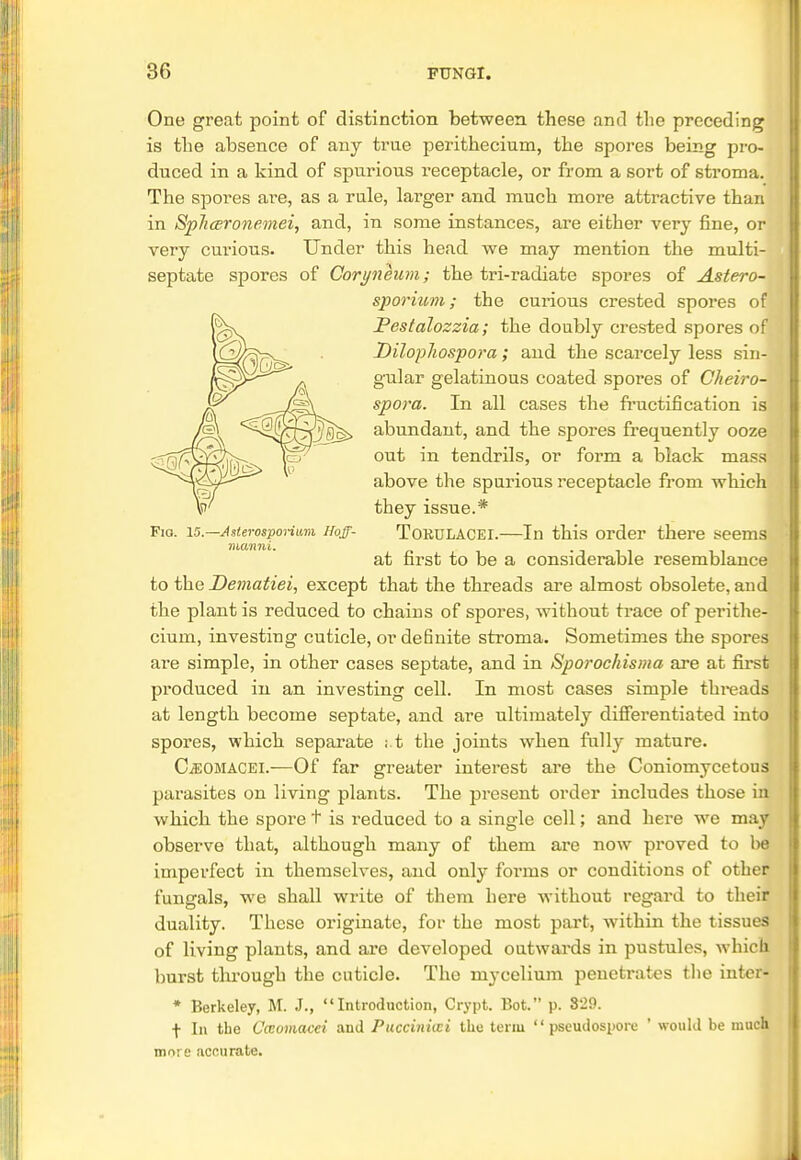 One great point of distinction between these and tlie preceding is the absence of any true perithecium, the spores being pro- duced in a kind of spurious receptacle, or from a sort of stroma. The spores are, as a rule, larger and much more attractive than in SpJiceronemei, and, in some instances, are either very fine, or very curious. Under this head we may mention the multi- septate spores of Goryneum; the tri-radiate spores of Astero- sporium; the curious crested spores of Pestalozzia; the doubly crested spores of Dilophospora; and the scarcely less sin- gular gelatinous coated spores of Cheiro- spora. In all cases the fructification is abundant, and the spores frequently ooze out in tendrils, or form a black mass above the spurious receptacle from which they issue.* Fio. 15.—Jsterosporium i/off- Tobulacei.—In this order there seems manni. at first to be a considerable resemblance to the Dematiei, except that the threads are almost obsolete, and the plant is reduced to chains of spores, without trace of perithe- cium, investing cuticle, or definite stroma. Sometimes the spores are simple, in other cases septate, and in Sporochisma are at first produced in an investing cell. In most cases simple threads at length become septate, and are ultimately differentiated into spores, which separate ; t the joints when fully mature. CjEOMACEi.—Of far greater interest are the Coniomycetous parasites on living plants. The present order includes those in which the spore t is reduced to a single cell; and here we may observe that, although many of them are now proved to be imperfect in themselves, and only forms or conditions of other fungals, we shall write of them here without regard to their duality. These originate, for the most part, within the tissues of living plants, and are developed outwards in pustules, which hurst through the cuticle. The mycelium penetrates the inter- * Berkeley, M. J., Introduction, Crypt. Bot. p. 829. f In tbe Cceomacei and Puccinicei the term  pseudospore ' would be much more accurate.