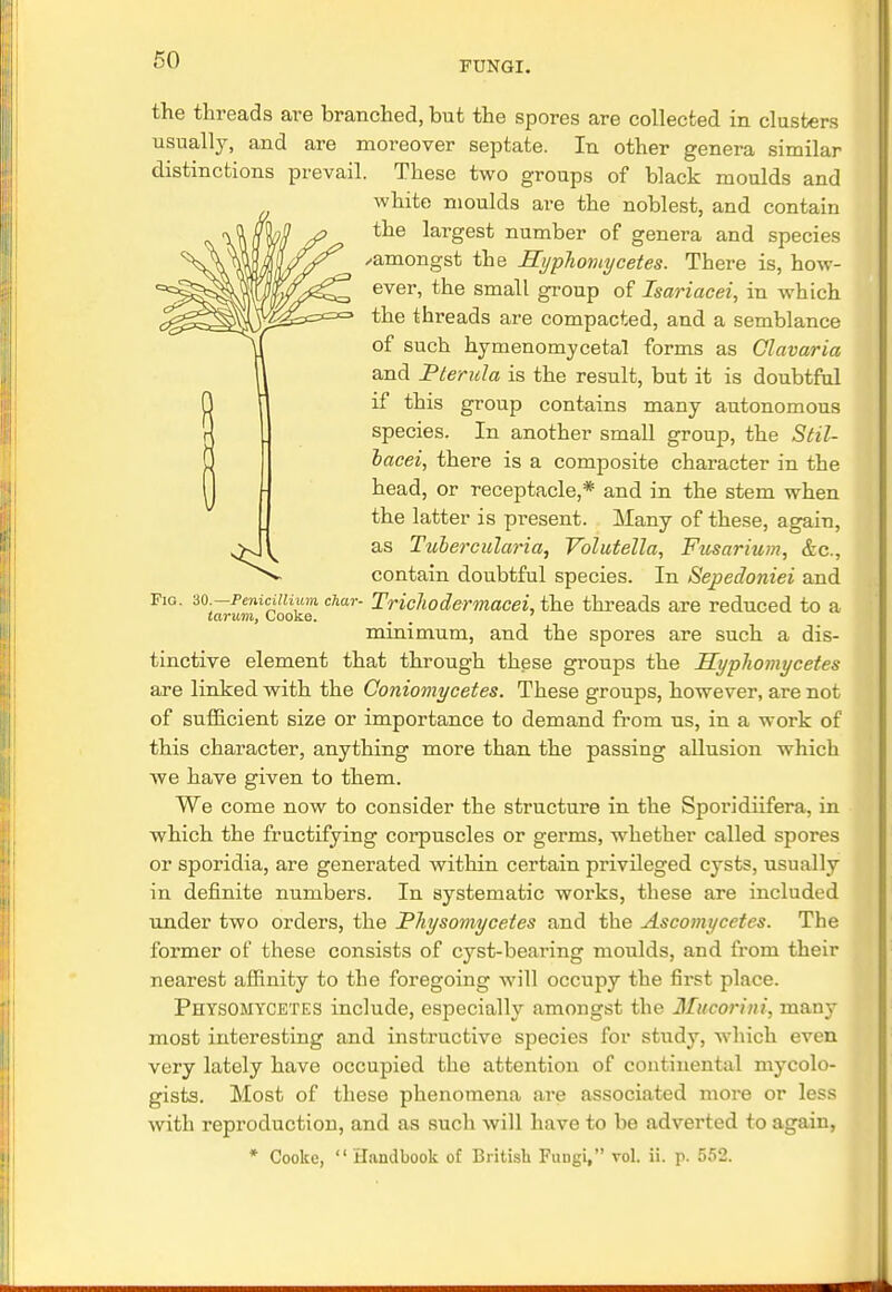 FUNGI. 4 Fig. 30.—Penicillium char tarum, Cooke. the threads ave branched, but the spores are collected in clusters usually, and are moreover septate. In other genera similar distinctions prevail. These two groups of black moulds and white moulds are the noblest, and contain the largest number of genera and species /amongst the Hyphomycetes. There is, how- ever, the small group of Isariacei, in which the threads are compacted, and a semblance of such hymenomycetal forms as Clavaria and Pterula is the result, but it is doubtful if this group contains many autonomous species. In another small group, the Stil- bacei, there is a composite character in the head, or receptacle,* and in the stem when the latter is present. Many of these, again, as Tubercularia, Volutella, Fusarium, &c, contain doubtful species. In Sepedoniei and Trichodermacei, the threads are reduced to a minimum, and the spores are such a dis- tinctive element that through these groups the Hyphomycetes are linked with the Coniomycetes. These groups, however, are not of sufficient size or importance to demand from us, in a work of this character, anything more than the passing allusion which we have given to them. We come now to consider the structure in the Spoi'idiifera, in which the fructifying corpuscles or germs, whether called spores or sporidia, are generated within certain privileged cysts, usually in definite numbers. In systematic works, these are included under two orders, the Physomycetes and the Ascomycetes. The former of these consists of cyst-bearing moulds, and from their nearest affinity to the foregoing will occupy the first place. Physomycetes include, especially amongst the Mucorini, many most interesting and instructive species for study, which even very lately have occupied the attention of continental mycolo- gists. Most of these phenomena are associated more or less with reproduction, and as such will have to be adverted to again, * Cooke, Handbook of British Fungi, vol. ii. p. 552.