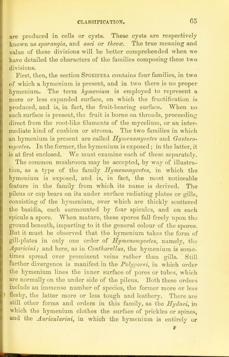 05 are produced in cells or cysts. These cysts are respectively known as sporangia, and asci or ihecce. The true meaning and value of these divisions will be better comprehended when we have detailed the characters of the families composing these two divisions. First, then, the section Spoeifera contains four families, in two of which a hymenium is present, and in two there is no proper hymenium. The term hymenium is employed to represent a more or less expanded surface, on which the fructification is produced, and is, in fact, the fruit-bearing surface. When no such surface is present, the fruit is borne on threads, proceeding direct from the root-like filaments of the mycelium, or an inter- mediate kind of cushion or stroma. The two families in which an hymenium is present are called Hymenomycetes and Gastero- mycetes. In the former, the hymenium is exposed; in the latter, it is at first enclosed. We must examine each of these separately. The common mushroom may be accepted, by way of illustra- tion, as a type of the family Hymenomycetes, in which the hymenium is exposed, and is, in fact, the most noticeable feature in the family from which its name is derived. The pileus or cap bears on its under surface radiating plates or gills, consisting of the hymenium, over which are thickly scattered the basidia, each surmounted by four spicules, and on each spicule a spore. When mature, these spores fall freely upon the ground beneath, imparting to it the general colour of the spores. But it must be observed that the hymenium takes the form of gill-plates in only one order of Hymenomycetes, namely, the Agaricini; and here, as in Gantharellus, the hymenium is some- times spread over prominent veins rather than gills. Still further divergence is manifest in the Polyporei, in which order the hymenium lines the inner surface of pores or tubes, which are normally on the under side of the pileus. Both these orders include an immense number of species, the former more or less fleshy, the latter more or less tough and leathery. There are still other forms and orders in this family, as the Hydnei, in which the hymenium clothes the surface of prickles or spines, and the Auricularini, in which the hymenium is entirely or
