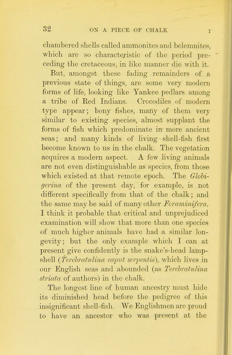 I cliarabered shells called ammonites and belemnites, wliicli are so characteristic of the period pre- ceding the cretaceous, in like manner die with it. But, amongst these fading remainders of a previous state of things, are some very modern forms of life, looking like Yankee pedlars among a tribe of Red Indians. Crocodiles of modern type appear; bony fishes, many of them very similar to existing species, almost supplant the forms of fish which predominate in more ancient seas; and many kinds of living shell-fish first become known to us in the chalk. The vegetation acquires a modern aspect. A few living animals are not even distinguishable as species, from those which existed at that remote epoch. The Globi- gerina of the present day, for example, is not different specifically from that of the chalk; and the same may be said of many other Fcraminifcra. I think it probable that critical and unprejudiced examination will show that more than one species of much higher animals have had a similar lon- gevity; but the only example which I can at present give confidently is the snake's-head lamp- shell (Terehratulina caput scrpcntis), which lives in our English seas and abounded (as Terehratulina striata of authors) in the chalk. The longest line of human ancestry must hide its diminished head before the pedigree of this insignificant shell-fish. We Englishmen are jDroud to have an ancestor who was present at the