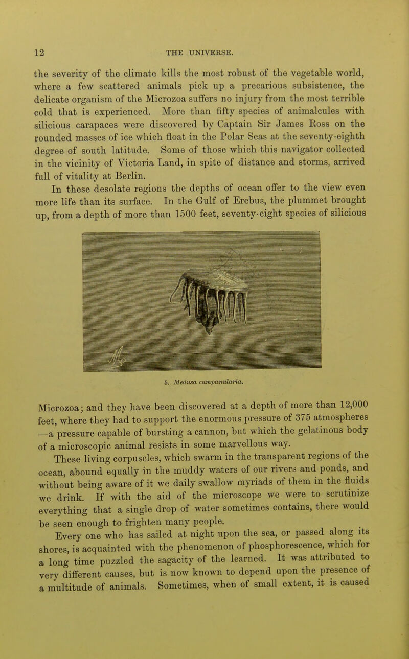 the severity of the climate kills the most robust of the vegetable world, where a few scattered animals pick up a precarious subsistence, the delicate organism of the Microzoa suffers no injury from the most terrible cold that is experienced. More than fifty species of animalcules with silicious carapaces were discovered by Captain Sir James Ross on the rounded masses of ice which float in the Polar Seas at the seventy-eighth degree of south latitude. Some of those which this navigator collected in the vicinity of Victoria Land, in spite of distance and storms, arrived full of vitality at Berlin. In these desolate regions the depths of ocean offer to the view even more life than its surface. In the Gulf of Erebus, the plummet brought up, from a depth of more than 1500 feet, seventy-eight species of silicious 6. Medusa campanularia. Microzoa; and they have been discovered at a depth of more than 12,000 feet, where they had to support the enormous pressure of 375 atmospheres —a pressure capable of bursting a cannon, but which the gelatinous body of a microscopic animal resists in some marvellous way. These living corpuscles, which swarm in the transparent regions of the ocean, abound equally in the muddy waters of our rivers and ponds, and without being aware of it we daily swallow myriads of them in the fluids we drink. If with the aid of the microscope we were to scrutinize everything that a single drop of water sometimes contains, there would be seen enough to frighten many people. Every one who has sailed at night upon the sea, or passed along its shores, is acquainted with the phenomenon of phosphorescence, which for a long time puzzled the sagacity of the learned. It was attributed to very diff'erent causes, but is now known to depend upon the presence of a multitude of animals. Sometimes, when of small extent, it is caused