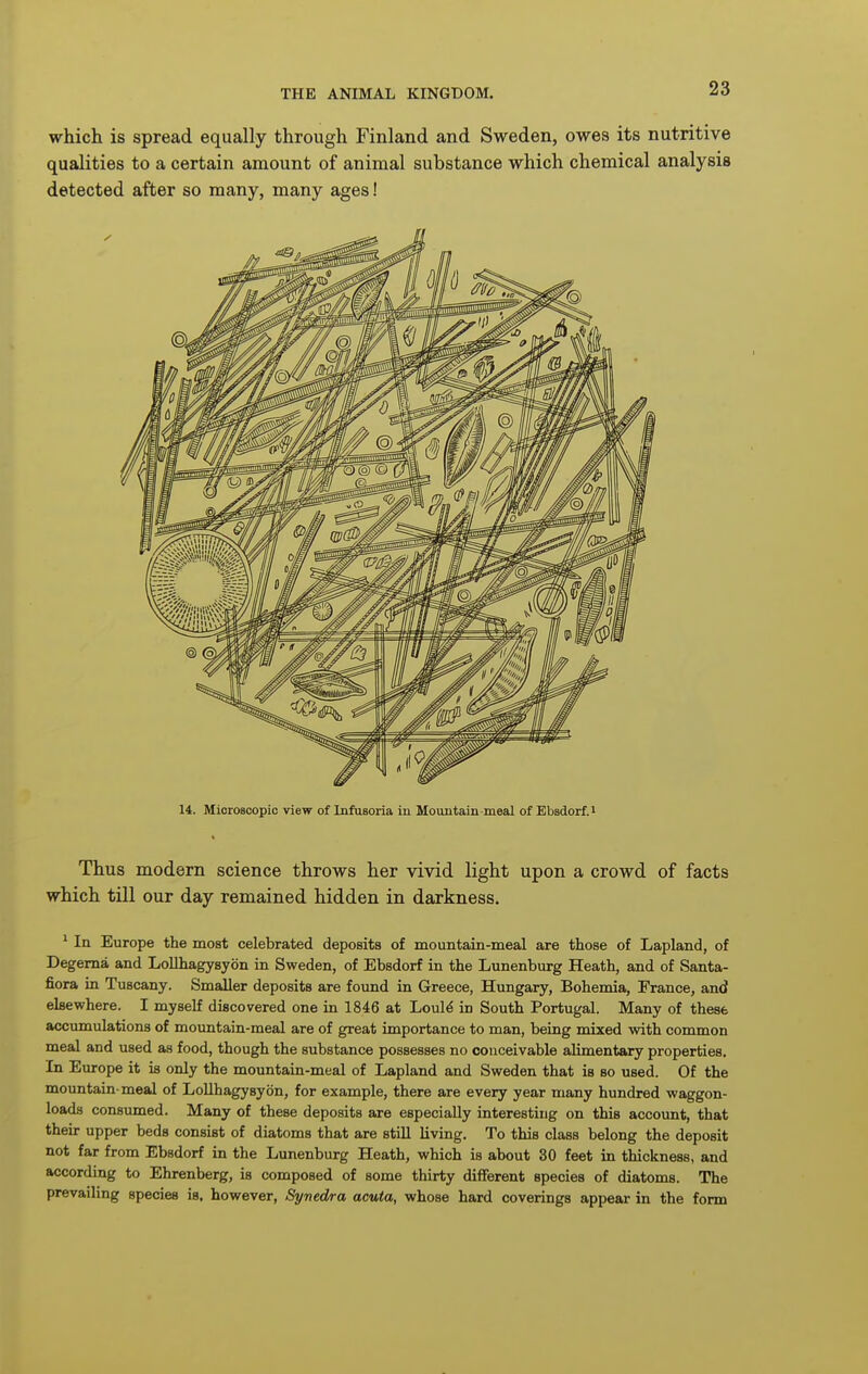 which is spread equally through Finland and Sweden, owes its nutritive qualities to a certain amount of animal substance which chemical analysis detected after so many, many ages! 14. MicroBCopic view of Infusoria in Mountain-meal of Ebsdorf.i Thus modem science throws her vivid light upon a crowd of facts which till our day remained hidden in darkness. ' In Europe the most celebrated deposits of mountain-meal are those of Lapland, of Degema and Lollhagysyon in Sweden, of Ebsdorf in the Lunenburg Heath, and of Santa- fiora in Tuscany. Smaller deposits are foimd in Greece, Hungary, Bohemia, France, and elsewhere. I myself discovered one in 1846 at Loul^ in South Portugal. Many of these accumulations of mountain-meal are of great importance to man, being mixed with common meal and used as food, though the substance possesses no conceivable alimentary properties. In Europe it is only the mountain-meal of Lapland and Sweden that is so used. Of the mountain-meal of Lollhagysyon, for example, there are every year many hundred waggon- loads consumed. Many of these deposits are especially interesting on this account, that their upper beds consist of diatoms that are still living. To this class belong the deposit not far from Ebsdorf in the Lunenburg Heath, which is about 30 feet in thickness, and according to Ehrenberg, is composed of some thirty different species of diatoms. The prevailing species is, however, Synedra acuta, whose hard coverings appear in the form