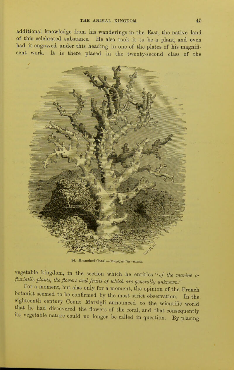 additional knowledge from his wanderings in the East, the native land of this celebrated substance. He also took it to be a plant, and even had it engraved under this heading in one of the plates of his magnifi- cent work. It is there placed in the twenty-second class of the 24. Branched CoTai—Caryophillia ramea. vegetable kingdom, in the section which he entitles of the marine or flumaiile plants, the flowers and fruits of which are generally unknown. For a moment, but alas only for a moment, the opinion of the French botanist seemed to be confirmed by the most strict observation. In the eighteenth century Count Marsigli announced to the scientific world that he had discovered the flowers of the coral, and that consequently Its vegetable nature could no longer be called in question. By placing