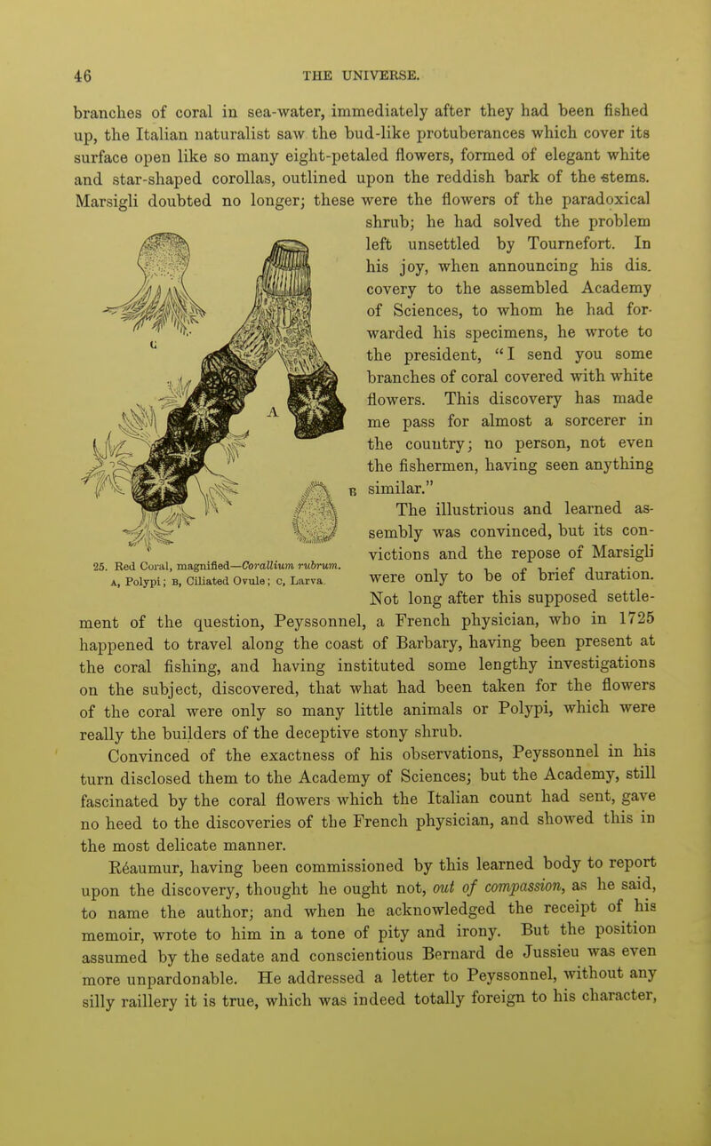branches of coral in sea-water, immediately after they had been fished up, the Italian naturalist saw the bud-like protuberances which cover its surface open like so many eight-petaled flowers, formed of elegant white and star-shaped corollas, outlined upon the reddish bark of the stems, Marsigli doubted no longer; these were the flowers of the paradoxical shrub; he had solved the problem left unsettled by Tournefort. In his joy, when announcing his dis. covery to the assembled Academy of Sciences, to whom he had for- warded his specimens, he wrote to the president, I send you some branches of coral covered with white flowers. This discovery has made me pass for almost a sorcerer in the country; no person, not even the fishermen, having seen anything similar. The illustrious and learned as- sembly was convinced, but its con- victions and the repose of Marsigli were only to be of brief duration. Not long after this supposed settle- ment of the question, Peyssonnel, a French physician, who in 1725 happened to travel along the coast of Barbary, having been present at the coral fishing, and having instituted some lengthy investigations on the subject, discovered, that what had been taken for the flowers of the coral were only so many little animals or Polypi, which were really the builders of the deceptive stony shrub. Convinced of the exactness of his observations, Peyssonnel in his turn disclosed them to the Academy of Sciences; but the Academy, still fascinated by the coral flowers which the Italian count had sent, gave no heed to the discoveries of the French physician, and showed this in the most delicate manner. E6aumur, having been commissioned by this learned body to report upon the discovery, thought he ought not, out of compassion, as he said, to name the author; and when he acknowledged the receipt of his memoir, wrote to him in a tone of pity and irony. But the position assumed by the sedate and conscientious Bernard de Jussieu was even more unpardonable. He addressed a letter to Peyssonnel, without any silly raillery it is true, which was indeed totally foreign to his character, 25. Red Coral, magnified—ComHiMm rubrum. A, Polypi; B, Ciliated Ovule; c. Larva.