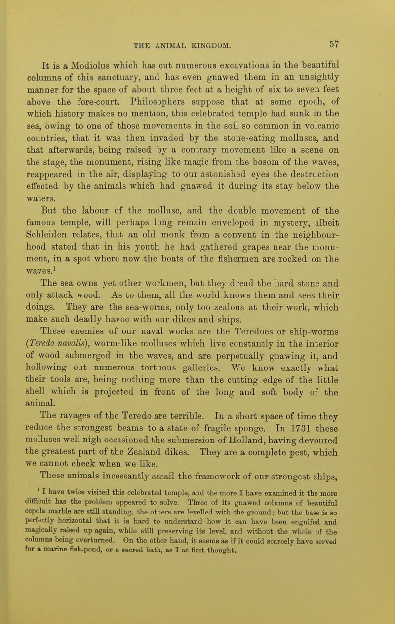 It is a Modiolus which has cut numerous excavations in the beautiful columns of this sanctuary, and has even gnawed them in an unsightly manner for the space of about three feet at a height of six to seven feet above the fore-court. Philosophers suppose that at some epoch, of which history makes no mention, this celebrated temple had sunk in the sea, owing to one of those movements in the soil so common in volcanic countries, that it was then invaded by the stone-eating molluscs, and that afterwards, being raised by a contrary movement like a scene on the stage, the monument, rising like magic from the bosom of the waves, reappeared in the air, displaying to our astonished eyes the destruction eflfected by the animals which had gnawed it during its stay below the waters. But the labour of the mollusc, and the double movement of the famous temple, will perhaps long remain enveloped in mystery, albeit Schleiden relates, that an old monk from a convent in the neighbour- hood stated that in his youth he had gathered grapes near the monu- ment, in a spot where now the boats of the fishermen are rocked on the waves.^ The sea owns yet other workmen, but they dread the hard stone and only attack wood. As to them, all the world knows them and sees their doings. They are the sea-worms, only too zealous at their work, which make such deadly havoc with our dikes and ships. These enemies of our naval works are the Teredoes or ship-worms {Teredo navalis), worm-like molluscs which live constantly in the interior of wood submerged in the waves, and are perpetually gnawing it, and hollowing out numerous tortuous galleries. We know exactly what their tools are, being nothing more than the cutting edge of the little shell which is projected in front of the long and soft body of the animal. The ravages of the Teredo are terrible. In a short space of time they reduce the strongest beams to a state of fragile sponge. In 1731 these molluscs well nigh occasioned the submersion of Holland, having devoured the greatest part of the Zealand dikes. They are a complete pest, which we cannot check when we like. These animals incessantly assail the framework of our strongest ships, ^ I have twice visited this celebrated temple, and the more I have examined it the more difficult has the problem appeared to solve. Three of its gnawed columns of beautiful cepola marble are still standing, the others are levelled with the ground; but the base is so perfectly horizontal that it is hard to understand how it can have been engulfed and magically raised up again, while still preserving its level, and without the whole of the columns being overturned. On the other hand, it seems as if it could scarcely have served for a marine fish-pond, or a sacred bath, as I at first thought.