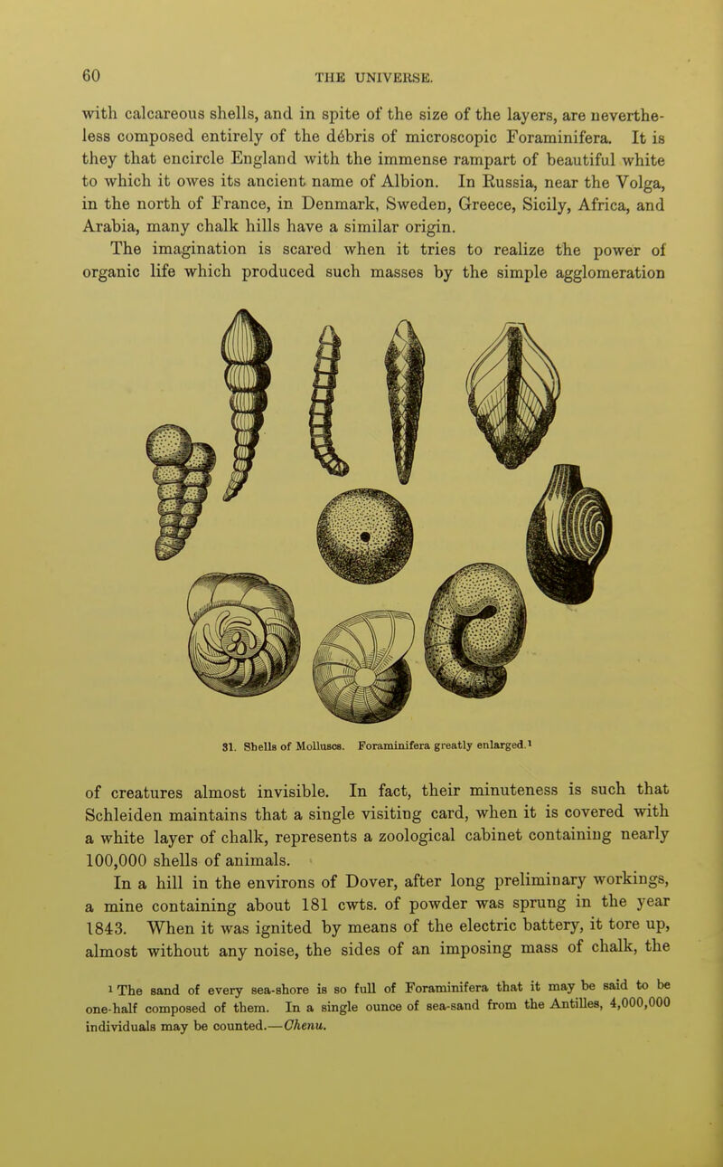 with calcareous shells, and in spite of the size of the layers, are neverthe- less composed entirely of the debris of microscopic Foraminifera. It is they that encircle England with the immense rampart of beautiful white to which it owes its ancient name of Albion. In Russia, near the Volga, in the north of France, in Denmark, Sweden, Greece, Sicily, Africa, and Arabia, many chalk hills have a similar origin. The imagination is scared when it tries to realize the power of organic life which produced such masses by the simple agglomeration 31. SheUs of Molluscs. Foraminifera greatly enlarged. of creatures almost invisible. In fact, their minuteness is such that Schleiden maintains that a single visiting card, when it is covered with a white layer of chalk, represents a zoological cabinet containing nearly 100,000 shells of animals. In a hill in the environs of Dover, after long preliminary workings, a mine containing about 181 cwts. of powder was sprung in the year 1843. When it was ignited by means of the electric battery, it tore up, almost without any noise, the sides of an imposing mass of chalk, the 1 The sand of every sea-shore is so full of Foraminifera that it may be said to be one-half composed of them. In a single ounce of sea-sand from the Antilles, 4,000,000 individuals may be counted.—Chenu.