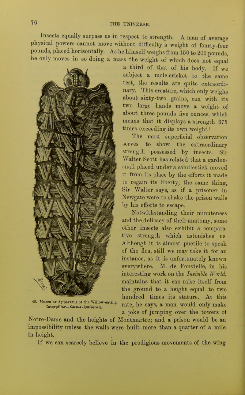 Insects equally surpass us in respect to strength. A man of average physical powers cannot move without difficulty a weight of fourty-four pounds, placed horizontally. As he himself weighs from 150 to 200 pounds, he only moves in so doing a mass the weight of which does not equal a third of that of his body. If we subject a mole-cricket to the same test, the results are quite extraordi- nary. This creature, which only weighs about sixty-two grains, can with its two large hands move a weight of about three pounds five ounces, which means that it displays a strength 375 times exceeding its own weight! The most superficial observation serves to show the extraordinary strength possessed by insects. Sir Walter Scott has related that a garden- snail placed under a candlestick moved it from its place by the efforts it made to regain its liberty; the same thing, Sir Walter says, as if a prisoner in Newgate were to shake the prison walls by his efforts to escape. Notwithstanding their minuteness and the delicacy of their anatomy, some other insects also exhibit a compara- tive strength which astonishes us. Although it is almost puerile to speak of the flea, still we may take it for an instance, as it is unfortunately known everywhere. M. de Fonvielle, in his interesting work on the Invisible World, maintains that it can raise itself from the ground to a height equal to two hundred times its stature. At this rate, he says, a man would only make a joke of jumping over the towers ot Notre-Dame and the heights of Montmartre; and a prison would be an impossibility unless the walls were built more than a quarter of a mile in height. If we can scarcely believe in the prodigious movements of the wing 48. Muscular Apparatus of the Willow-eating CaterpUlar—Coimt ligniperda.