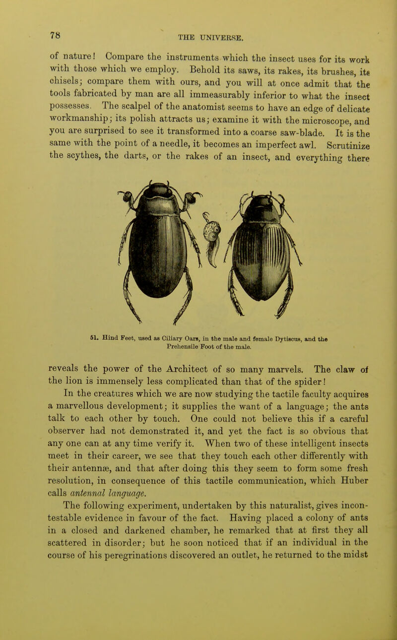of nature! Compare the instruments which the insect uses for its work with those which we employ. Behold its saws, its rakes, its brushes, ite chisels; compare them with ours, and you will at once admit that the tools fabricated by man are all immeasurably inferior to what the insect possesses. The scalpel of the anatomist seems to have an edge of delicate workmanship; its polish attracts us; examine it with the microscope, and you are surprised to see it transformed into a coarse saw-blade. It is the same with the point of a needle, it becomes an imperfect awl. Scrutinize the scythes, the darts, or the rakes of an insect, and everything there 61. Hind Feet, used as Ciliary Oars, in the male and female Dytiscus, and the Prehensile Foot of the male. reveals the power of the Architect of so many marvels. The claw of the lion is immensely less complicated than that of the spider! In the creatures which we are now studying the tactile faculty acquires a marvellous development; it supplies the want of a language; the ants talk to each other by touch. One could not believe this if a careful observer had not demonstrated it, and yet the fact is so obvious that any one can at any time verify it. When two of these intelligent insects meet in their career, we see that they touch each other differently with their antennae, and that after doing this they seem to form some fresh resolution, in consequence of this tactile communication, which Huber calls antennal language. The following experiment, undertaken by this naturalist, gives incon- testable evidence in favour of the fact. Having placed a colony of ants in a closed and darkened chamber, he remarked that at first they all scattered in disorder; but he soon noticed that if an individual in the course of his peregrinations discovered an outlet, he returned to the midst