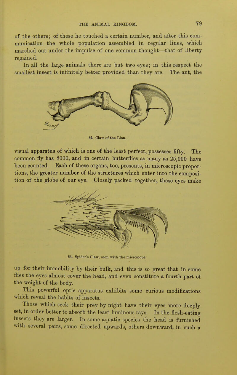of the others; of these he touched a certain number, and after this com- munication the whole population assembled in regular lines, which marched out under the impulse of one common thought—that of liberty regained. In all the large animals there are but two eyes; in this respect the smallest insect is infinitely better provided than they are. The ant, the 52. Claw of the Lion. visual apparatus of which is one of the least perfect, possesses fifty. The common fly has 8000, and in certain butterflies as many as 25,000 have been counted. Each of these organs, too, presents, in microscopic propor- tions, the greater number of the structures which enter into the composi- tion of the globe of our eye. Closely packed together, these eyes make 53. Spider's Claw, seen with the microscope. up for their immobility by their bulk, and this is so great that in some flies the eyes almost cover the head, and even constitute a fourth part of the weight of the body. This powerful optic apparatus exhibits some curious modifications which reveal the habits of insects. Those which seek their prey by night have their eyes more deeply set, in order better to absorb the least luminous rays. In the flesh-eating insects they are larger. In some aquatic species the head is furnished with several pairs, some directed upwards, others downward, in such a