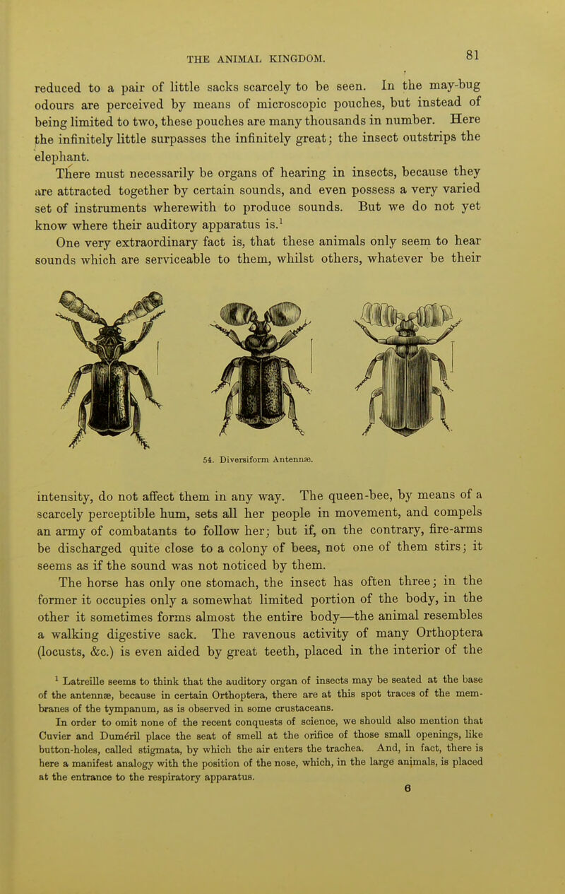 reduced to a pair of little sacks scarcely to be seen. In the may-bug odours are perceived by means of microscopic pouches, but instead of being limited to two, these pouches are many thousands in number. Here the infinitely little surpasses the infinitely great; the insect outstrips the elephant. There must necessarily be organs of hearing in insects, because they are attracted together by certain sounds, and even possess a very varied set of instruments wherewith to produce sounds. But we do not yet know where their auditory apparatus is.^ One very extraordinary fact is, that these animals only seem to hear sounds which are serviceable to them, whilst others, whatever be their 54. Diversiform Antennae. intensity, do not affect them in any way. The queen-bee, by means of a scarcely perceptible hum, sets all her people in movement, and compels an army of combatants to follow her; but if, on the contrary, fire-arms be discharged quite close to a colony of bees, not one of them stirs; it seems as if the sound was not noticed by them. The horse has only one stomach, the insect has often three; in the former it occupies only a somewhat limited portion of the body, in the other it sometimes forms almost the entire body—the animal resembles a walking digestive sack. The ravenous activity of many Orthoptera (locusts, &c.) is even aided by great teeth, placed in the interior of the * Latreille seems to think tliat the auditory organ of insects may be seated at the base of the antermae, because in certain Orthoptera, there are at this spot traces of the mem- branes of the tympanum, as is observed in some crustaceans. In order to omit none of the recent conquests of science, we should also mention that Cuvier and Dum^ril place the seat of smell at the orifice of those small openings, like button-holes, called stigmata, by which the air enters the trachea. And, in fact, there is here a manifest analogy with the position of the nose, which, in the large animals, is placed at the entrance to the respiratory apparatus. 6