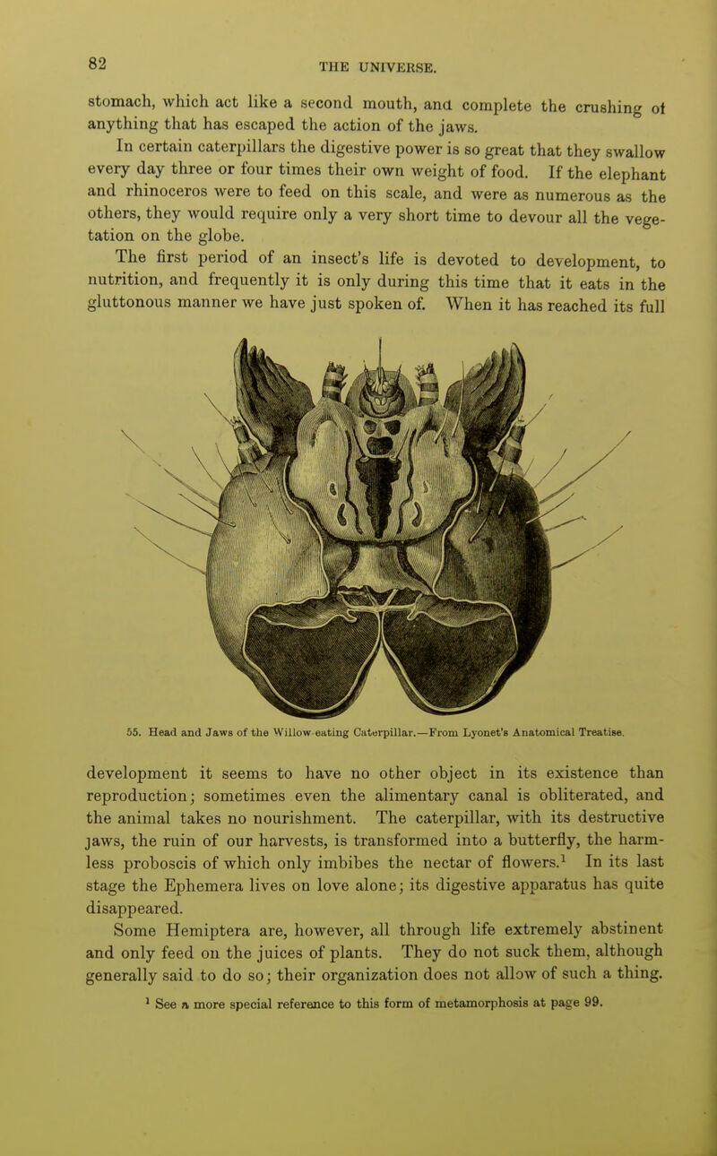 Stomach, which act like a second mouth, ana complete the crushing ot anything that has escaped the action of the jaws. In certain caterpillars the digestive power is so great that they swallow every day three or four times their own weight of food. If the elephant and rhinoceros were to feed on this scale, and were as numerous as the others, they would require only a very short time to devour all the vege- tation on the globe. The first period of an insect's life is devoted to development, to nutrition, and frequently it is only during this time that it eats in the gluttonous manner we have just spoken of. When it has reached its full 55. Head and Jaws of the Willow-eating Caterpillar.—From Lyonet's Anatomical Treatise. development it seems to have no other object in its existence than reproduction; sometimes even the alimentary canal is obliterated, and the animal takes no nourishment. The caterpillar, with its destructive jaws, the ruin of our harvests, is transformed into a butterfly, the harm- less proboscis of which only imbibes the nectar of flowers.^ In its last stage the Ephemera lives on love alone; its digestive apparatus has quite disappeared. Some Hemiptera are, however, all through life extremely abstinent and only feed on the juices of plants. They do not suck them, although generally said to do so; their organization does not allow of such a thing. ^ See a more special reference to this form of metamorphosis at page 99.