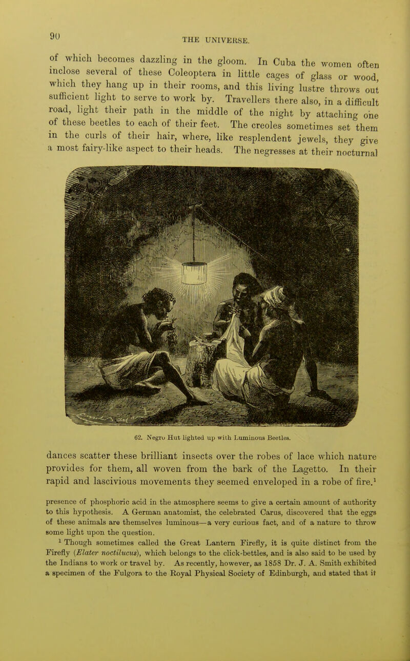 THE UNIVERSE. of which becomes dazzling in the gloom. In Cuba the women often inclose several of these Coleoptera in little cages of glass or wood which they hang up in their rooms, and this living lustre throws out sufficient light to serve to work by. Travellers there also, in a difficult road, light their path in the middle of the night by attaching one of these beetles to each of their feet. The Creoles sometimes set them in the curls of their hair, where, like resplendent jewels, they give a most fairy-like aspect to their heads. The negresses at their nocturnal 62. Negro Hut lighted up with Luminous Beetles. dances scatter these brilliant insects over the robes of lace which nature provides for them, all woven from the bark of the Lagetto. In their rapid and lascivious movements they seemed enveloped in a robe of fire.^ presence of phosphoric acid in the atmosphere seems to give a certain amount of authority to this hypothesis. A German anatomist, the celebrated Carus, discovered that the eggs of these animals are themselves luminous—a very curious fact, and of a nature to throw some light upon the question. ^ Though sometimes called the Great Lantern Firefly, it is quite distinct from the Firefly (JElater noctilucus), which belongs to the click-bettles, and is also said to be used by the Indians to work or travel by. As recently, however, as 1858 Dr. J. A. Smith exhibited a specimen of the Fulgora to the Royal Physical Society of Edinburgh, and stated that it