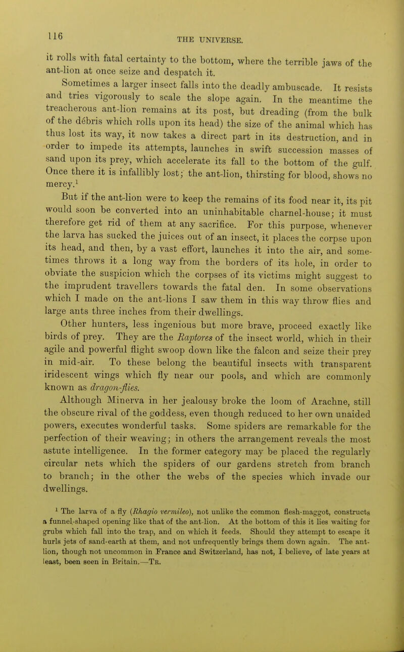 THE UNIVERSE, it rolls with fatal certainty to the bottom, where the terrible jaws of the ant-lion at once seize and desjiatch it. Sometimes a larger insect falls into the deadly ambuscade. It resists and tries vigorously to scale the slope again. In the meantime the treacherous ant-lion remains at its post, but dreading (from the bulk of the debris which rolls upon its head) the size of the animal which has thus lost its way, it now takes a direct part in its destruction, and in order to impede its attempts, launches in swift succession masses of sand upon its prey, which accelerate its fall to the bottom of the gulf. Once there it is infallibly lost; the ant-lion, thirsting for blood, shows no mercy. ^ But if the ant-lion were to keep the remains of its food near it, its pit would soon be converted into an uninhabitable charnel-house; it must therefore get rid of them at any sacrifice. For this purpose, whenever the larva has sucked the juices out of an insect, it places the corpse upon its head, and then, by a vast efi'ort, launches it into the air, and some- times throws it a long way from the borders of its hole, in order to obviate the suspicion which the corpses of its victims might suggest to the imprudent travellers towards the fatal den. In some observations which I made on the ant-lions I saw them in this way throw flies and large ants three inches from their dwellings. Other hunters, less ingenious but more brave, proceed exactly like birds of prey. They are the Baptores of the insect world, which in their agile and powerful flight swoop down like the falcon and seize their prey in mid-air. To these belong the beautiful insects with transparent iridescent wings which fly near our pools, and which are commonly known as dragon-flies. Although Minerva in her jealousy broke the loom of Arachne, still the obscure rival of the goddess, even though reduced to her own unaided powers, executes wonderful tasks. Some spiders are remarkable for the perfection of their weaving; in others the arrangement reveals the most astute intelligence. In the former category may be placed the regularly circular nets which the spiders of our gardens stretch from branch to branch; in the other the webs of the species which invade our dwellings. ^ The larva of a fly {Rhagio vermileo), not unlike the common flesh-maggot, constructs a funnel-shaped opening like that of the ant-lion. At the bottom of this it lies waiting for grubs which faU into the trap, and on which it feeds. Should they attempt to escape it hurls jets of sand-earth at them, and not unfrequently brings them down again. The ant- lion, though not uncommon in France and Switzerland, has not, I believe, of late years at least, been seen in Britain.—Tr.
