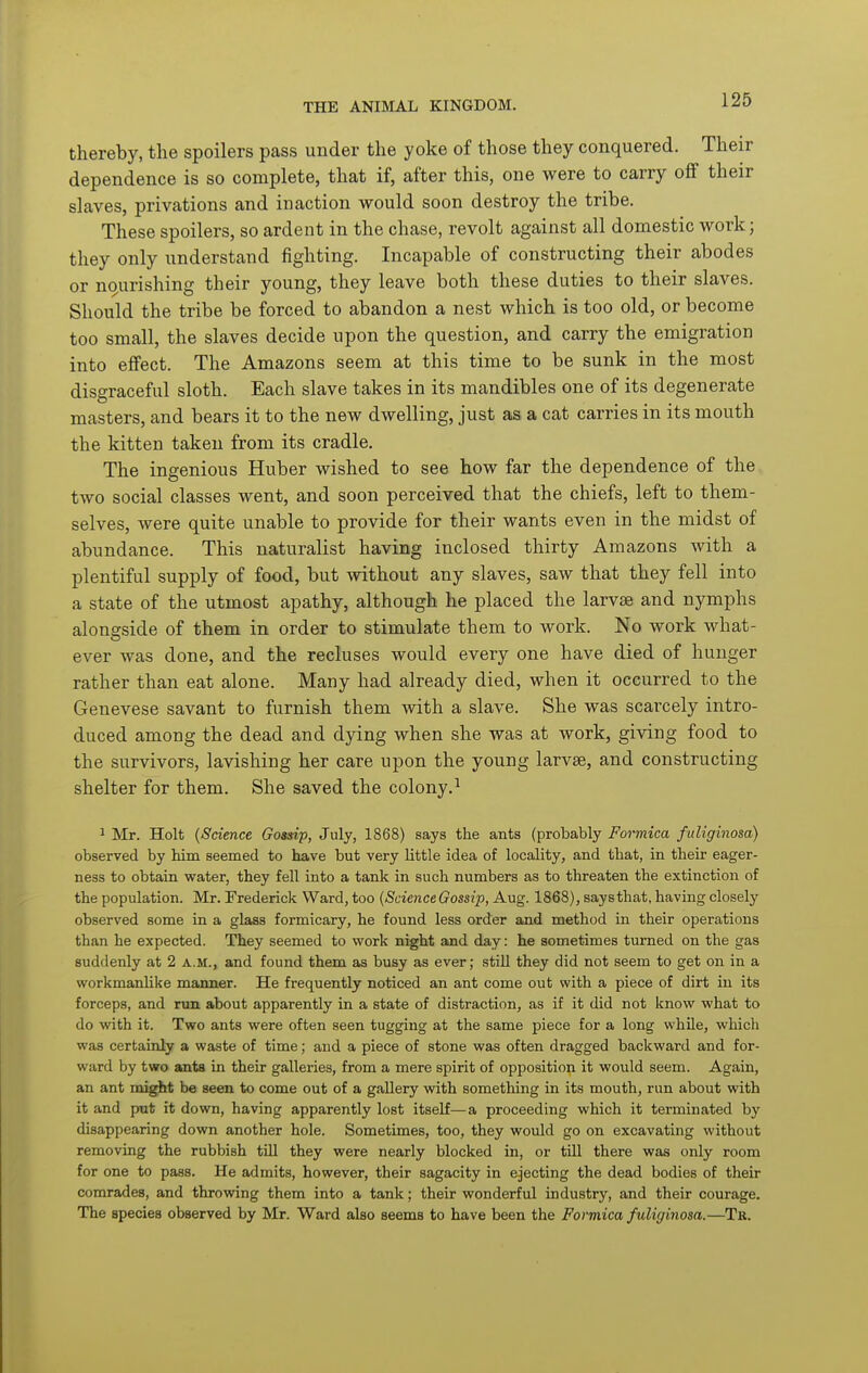 thereby, the spoilers pass under the yoke of those they conquered. Their dependence is so complete, that if, after this, one were to carry off their slaves, privations and inaction would soon destroy the tribe. These spoilers, so ardent in the chase, revolt against all domestic work; they only understand fighting. Incapable of constructing their abodes or nourishing their young, they leave both these duties to their slaves. Should the tribe be forced to abandon a nest which is too old, or become too small, the slaves decide upon the question, and carry the emigration into effect. The Amazons seem at this time to be sunk in the most disgraceful sloth. Each slave takes in its mandibles one of its degenerate masters, and bears it to the new dwelling, just as a cat carries in its mouth the kitten taken from its cradle. The ingenious Huber wished to see how far the dependence of the two social classes went, and soon perceived that the chiefs, left to them- selves, were quite unable to provide for their wants even in the midst of abundance. This naturalist having inclosed thirty Amazons with a plentiful supply of food, but without any slaves, saw that they fell into a state of the utmost apathy, although he placed the larvae and nymphs alongside of them in order to stimulate them to work. No work what- ever was done, and the recluses would every one have died of hunger rather than eat alone. Many had already died, when it occurred to the Genevese savant to furnish them with a slave. She was scarcely intro- duced among the dead and dying when she was at work, giving food to the survivors, lavishing her care upon the young larvae, and constructing shelter for them. She saved the colony.^ 1 Mr. Holt {Science Gossip, July, 1868) says the ants (probably Formica fuUginosa) observed by him seemed to have but very little idea of locality, and that, in their eager- ness to obtain water, they fell into a tank in such numbers as to threaten the extinction of the population. Mr. Frederick Ward, too {Science Gossip, Aug. 1868), says that, having closely observed some in a glass formicary, he found less order and method in their operations than he expected. They seemed to work night and day: he sometimes turned on the gas suddenly at 2 a.m., and found them as busy as ever; still they did not seem to get on in a workmanlike manner. He frequently noticed an ant come out with a piece of dirt in its forceps, and run about apparently in a state of distraction, as if it did not know what to do with it. Two ants were often seen tugging at the same piece for a long whUe, which was certainly a waste of time; and a piece of stone was often dragged backward and for- ward by two ants in their galleries, from a mere spirit of opposition it would seem. Again, an ant might be seen to come out of a gallery with something in its mouth, run about with it and put it down, having apparently lost itseK—a proceeding which it terminated by disappearing down another hole. Sometimes, too, they would go on excavating without removing the rubbish till they were nearly blocked in, or till there was only room for one to pass. He admits, however, their sagacity in ejecting the dead bodies of their comrades, and throwing them into a tank; their wonderful industry, and their courage. The species observed by Mr. Ward also seems to have been the Formica fuliginosa.—Tb.