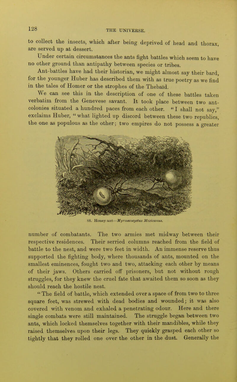 to collect the insects, which after being deprived of head and thorax, are served up at dessert. Under certain circumstances the ants fight battles which seem to have no other ground than antipathy between species or tribes. Ant-battles have had their historian, we might almost say their bard, for the younger Huber has described them with as true poetry as we find in the tales of Homer or the strophes of the Thebaid. We can see this in the description of one of these battles taken verbatim from the Genevese savant. It took place between two ant- colonies situated a hundred paces from each other.  I shall not say, exclaims Huber,  what lighted up discord between these two republics, the one as populous as the other; two empires do not possess a greater S8. Honey ixnt—Myrmecocyctus Mexicanus. number of combatants. The two armies met midway between their respective residences. Their serried columns reached from the field of battle to the nest, and were two feet in width. An immense reserve thus supported the fighting body, where thousands of ants, mounted on the smallest eminences, fought two and two, attacking each other by means of their jaws. Others carried off prisoners, but not without rough struggles, for they knew the cruel fate that awaited them so soon as they should reach the hostile nest.  The field of battle, which extended over a space of from two to three square feet, was strewed with dead bodies and wounded; it was also covered with venom and exhaled a penetrating odour. Here and there single combats were still maintained. The struggle began between two ants, which locked themselves together with their mandibles, while they raised themselves upon their legs. They quickly grasped each other so tightly that they rolled one over the other in the dust. Generally the