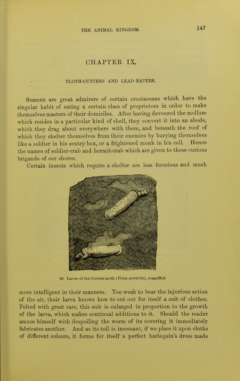 CHAPTER IX. / CLOTH-CUTTERS AND LEAD-EATERS. Seamen are great admirers of certain crustaceans which have the singular habit of eating a certain class of proprietors in order to make themselves masters of their domiciles. After having devoured the mollusc which resides in a particular kind of shell, they convert it into an abode, which they drag about everywhere with them, and beneath the roof of which they shelter themselves from their enemies by burying themselves like a soldier in his sentry-box, or a frightened monk in his cell. Hence the names of soldier-crab and hermit-crab which are given to these curious brigands of our shores. Certain insects which require a shelter are less ferocious and much 99. Larvae of the Clothea-moth {Tinea sarcitella), magnified. more intelligent in their manners. Too weak to bear the injurious action of the air, their larva knows how to cut out for itself a suit of clothes. Felted with great care, this suit is enlarged in proportion to the growth of the larva, which makes continual additions to it. Should the reader amuse himself with despoiling the worm of its covering it immediately fabricates another. And as its toil is incessant, if we place it upon cloths of different colours, it forms for itself a perfect harlequin's dress made