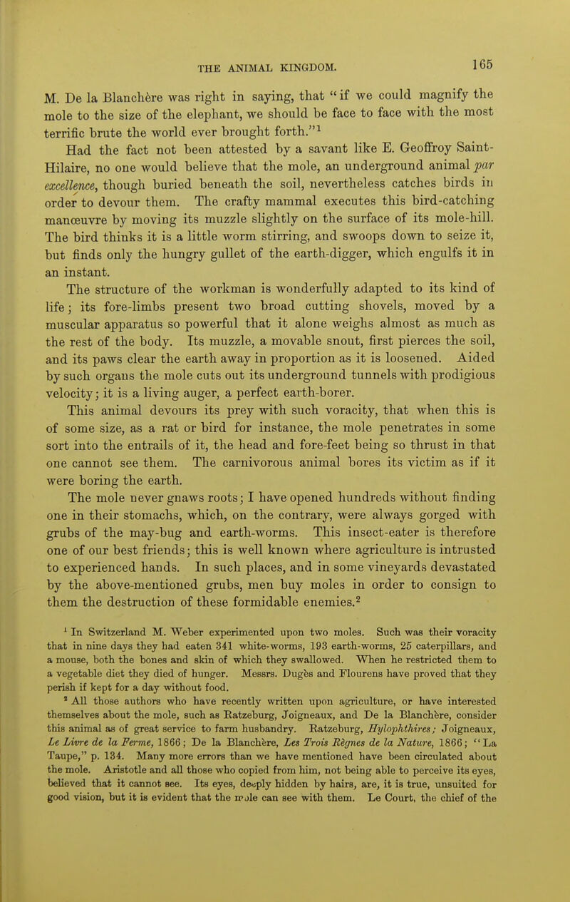 M. De la Blanch^re was right in saying, that  if we could magnify the mole to the size of the elephant, we should be face to face with the most terrific brute the world ever brought forth, ^ Had the fact not been attested by a savant like E. GeofFroy Saint- Hilaire, no one would believe that the mole, an underground animal par excellence, though buried beneath the soil, nevertheless catches birds in order to devour them. The crafty mammal executes this bird-catching manoeuvre by moving its muzzle slightly on the surface of its mole-hill. The bird thinks it is a little worm stirring, and swoops down to seize it, but finds only the hungry gullet of the earth-digger, which engulfs it in an instant. The structure of the workman is wonderfully adapted to its kind of life; its fore-limbs present two broad cutting shovels, moved by a muscular apparatus so powerful that it alone weighs almost as much as the rest of the body. Its muzzle, a movable snout, first pierces the soil, and its paws clear the earth away in proportion as it is loosened. Aided by such organs the mole cuts out its underground tunnels with prodigious velocity; it is a living auger, a perfect earth-borer. This animal devours its prey with such voracity, that when this is of some size, as a rat or bird for instance, the mole penetrates in some sort into the entrails of it, the head and fore-feet being so thrust in that one cannot see them. The carnivorous animal bores its victim as if it were boring the earth. The mole never gnaws roots; I have opened hundreds without finding one in their stomachs, which, on the contrary, were always gorged with grubs of the may-bug and earth-worms. This insect-eater is therefore one of our best friends; this is well known where agriculture is intrusted to experienced hands. In such places, and in some vineyards devastated by the above-mentioned grubs, men buy moles in order to consign to them the destruction of these formidable enemies.^ * In Switzerland M. Weber experimented upon two moles. Such was their voracity that in nine days they had eaten 341 white-worms, 193 earth-worms, 25 caterpillars, and a mouse, both the bones and skin of which they swallowed. When he restricted them to a vegetable diet they died of hunger. Messrs. Dugfes and Flourens have proved that they perish if kept for a day without food. * All those authors who have recently written upon agriculture, or have interested themselves about the mole, such as Ratzeburg, Joigneaux, and De la Blanchfere, consider this animal as of great service to farm husbandry. Ratzeburg, Hylophthires; Joigneaux, Le Livre de la Ferme, 1866 ; De la Blanchfere, Les Trois R&gnes de la Nature, 1866; La Taupe, p. 134. Many more errors than we have mentioned have been circulated about the mole. Aristotle and all those who copied from him, not being able to perceive its eyes, believed that it cannot see. Its eyes, deeply hidden by hairs, are, it is true, unsuited for good vision, but it is evident that the n>jle can see with them. Le Court, the chief of the