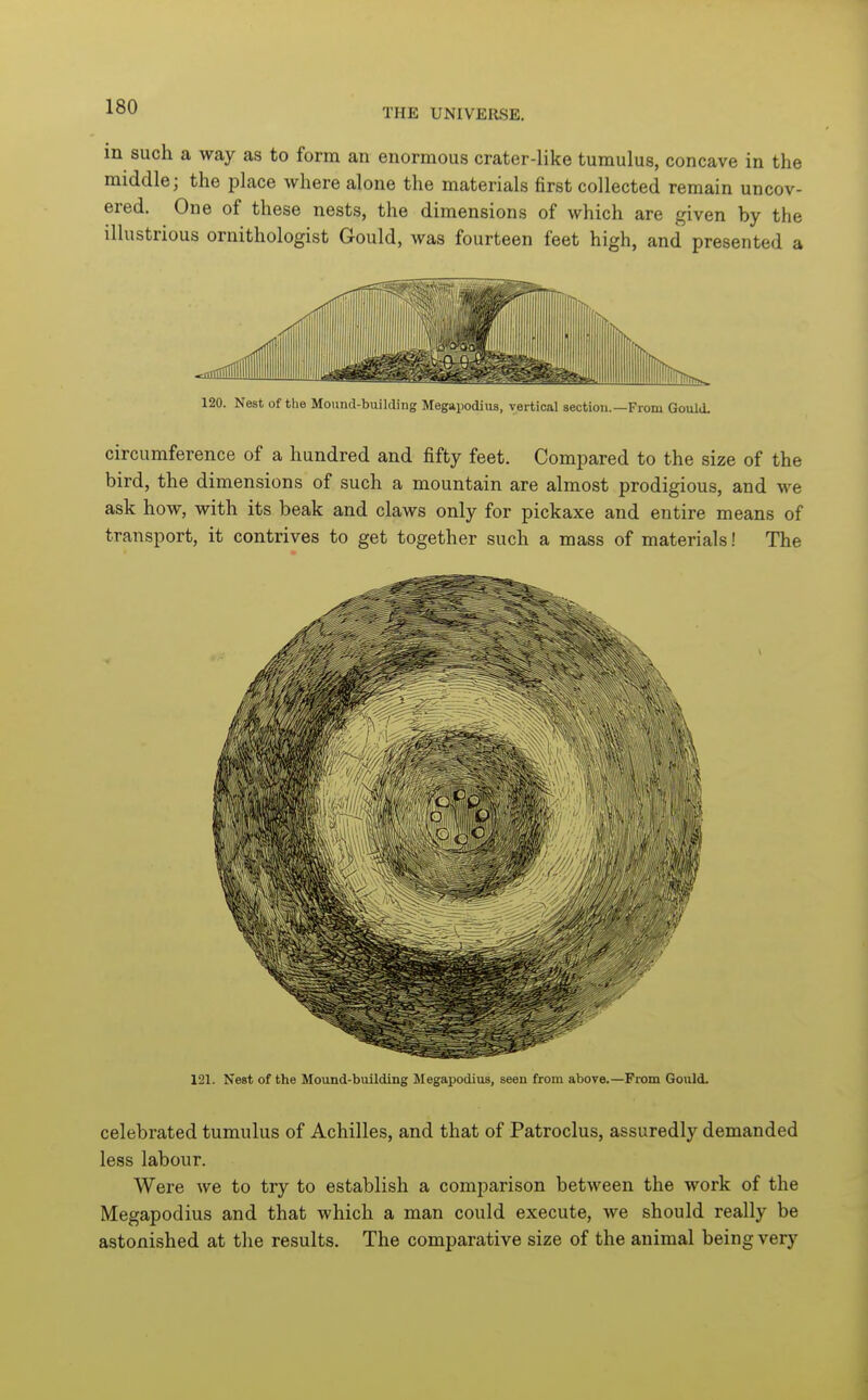 in such a way as to form an enormous crater-like tumulus, concave in the middle; the place where alone the materials first collected remain uncov- ered. One of these nests, the dimensions of which are given by the illustrious ornithologist Gould, was fourteen feet high, and presented a 120. Nest of the Mound-building Megapodius, vertical section.—From Gould- circumference of a hundred and fifty feet. Compared to the size of the bird, the dimensions of such a mountain are almost prodigious, and we ask how, with its beak and claws only for pickaxe and entire means of transport, it contrives to get together such a mass of materials! The 121. Nest of the Mound-building Megapodius, seen from above.—From Gould. celebrated tumulus of Achilles, and that of Patroclus, assuredly demanded less labour. Were we to try to establish a comparison between the work of the Megapodius and that which a man could execute, we should really be astonished at the results. The comparative size of the animal being very