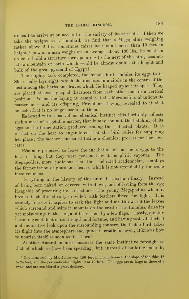 difficult to arrive at on account of the variety of its attitudes, if then we take the weight as a standard, we find that a Megapodius weighing rather above 2 lbs. sometimes raises its mound more than 10 feet m height;^ now as a man weighs on an average about 130 lbs., he must, in order to build a structure corresponding to the nest of the bird, accumu- late ar mountain of earth which would be almost double the height and bulk of the great pyramid of Egypt! The mighty task completed, the female bird confides its eggs to it. She usually lays eight, which she disposes in a circle in the centre of the nest among the herbs and leaves which lie heaped up at this spot. They are placed at exactly equal distances from each other and in a vertical position. When the laying is completed the Megapodius abandons its master-piece and its oflFspring, Providence having revealed to it that henceforth it is no longer useful to them. Endowed with a marvellous chemical instinct, this bird only collects such a mass of vegetable matter, that it may commit the hatching of its eggs to the fermentation produced among the collected plants. It is in fact on the heat so engendered that the bird relies for supplying her place; the mother thus substituting a chemical process for her own cares. Reaumur proposed to leave the incubation of our hens' eggs to the heat of dung, but they were poisoned by its mephitic vapours. The Megapodius, more judicious than the celebrated academician, employs the fermentation of grass and leaves, which is not attended by the same inconvenience. Everything in the history of this animal is extraordinary. Instead of being born naked, or covered with down, and of issuing from the egg incapable of procuring its subsistence, the young Megapodius when it breaks its shell is already provided with feathers fitted for flight. It is scarcely free ere it aspires to seek the light and air, throws off the leaves which surround and stifle it, mounts on the crest of its tumulus, dries its yet moist wings in the sun, and tests them by a few flaps. Lastly, quickly becoming confident in its strength and fortune, and having cast a disturbed and inquisitive look upon the surrounding country, the feeble bird takes its flight into the atmosphere and quits its cradle for ever; it knows how to nourish itself as soon as it is born! Another Australian bird possesses the same instinctive foresight as that of which we have been speaking; but, instead of building mounds, ^ One measured by Mr. Jukes was 160 feet in circumference, the slope of the sides 18 to 24 feet, and the perpendicular height 10 or 12 feet. The eggs are as large as those of a 8wan, and are considered a great delicacy.
