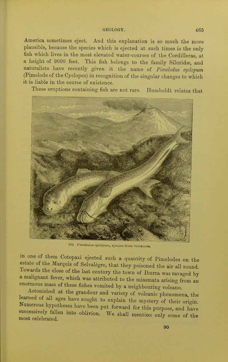 America sometimes eject. And this explanation is so much the more plausible, because the species which is ejected at such times is the only fish which lives in the most elevated water-courses of the Cordilleras, at a height of 9000 feet. This fish belongs to the family Siluridae, and naturalists have recently given it the name of Fimelodus cydopum (Pi)nelode of the Cyclopes) in recognition of the singular changes to which it is liable in the course of existence. These eruptions containing fish are not rare. Humboldt relates that 235. Pimelodus cydopum, ejeuteu from volcauoes. m one of them Cotopaxi ejected such a quantity of Pimelodes on the estate of the Marquis of Selval^gre, that they poisoned the air all round iowards the close of the last century the town of Iburra was ravaged by a malignant fever, which was attributed to the miasmata arising from an enormous mass of these fishes vomited by a neighbouring volcano. Astonished at the grandeur and variety of volcanic phenomena, the learned of all ages have sought to explain the mystery of their origin Numerous hypotheses have been put forward for this purpose, and have successively fallen into oblivion. We shall mention only some of the most celebrated. 30