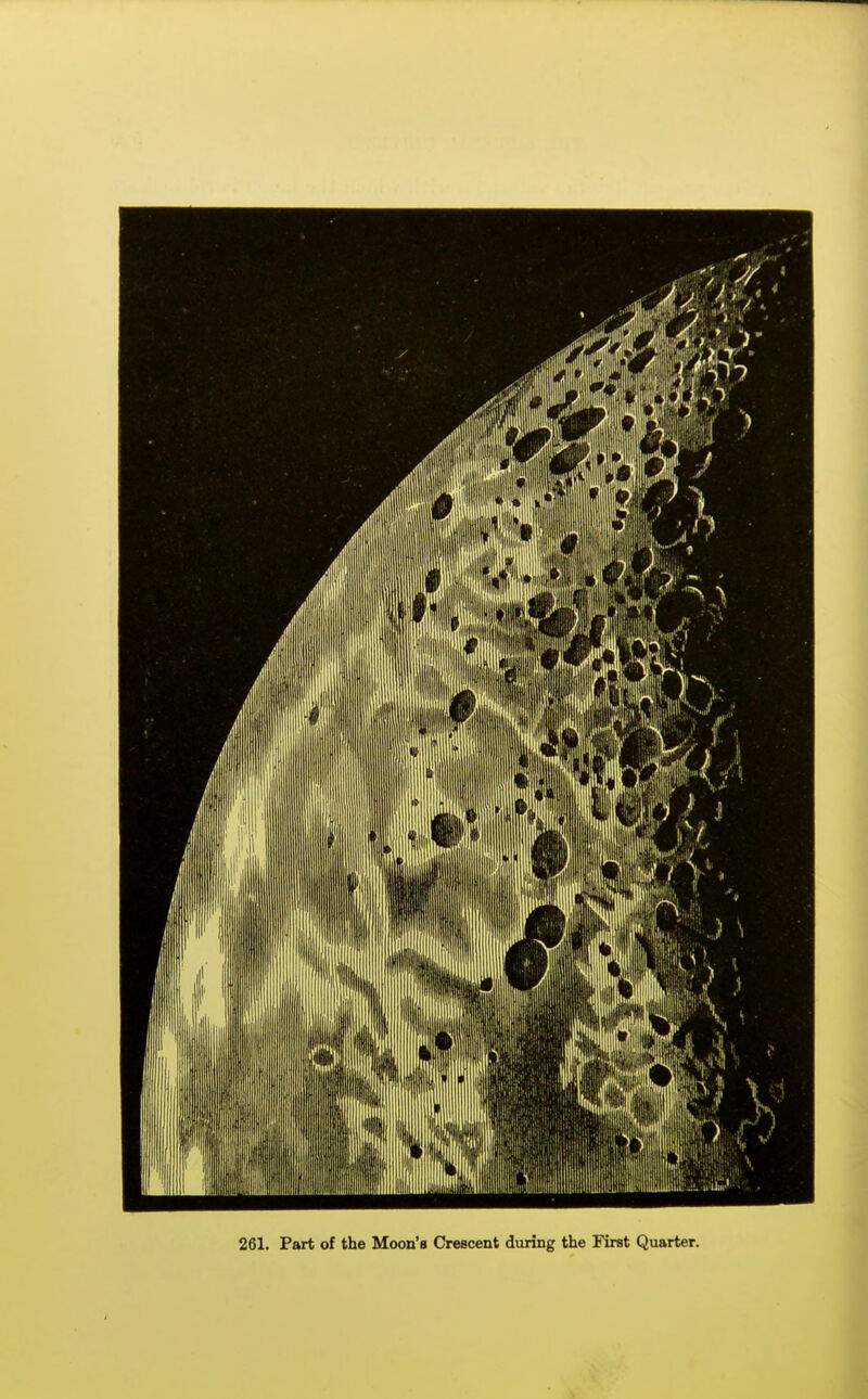 261. Part of the Moon's Crescent during the First Quarter.