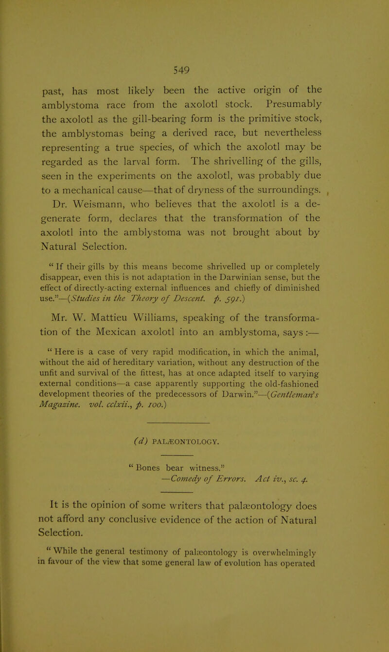 past, has most likely been the active origin of the amblystoma race from the axolotl stock. Presumably the axolotl as the gill-bearing form is the primitive stock, the amblystomas being a derived race, but nevertheless representing a true species, of which the axolotl may be regarded as the larval form. The shrivelling of the gills, seen in the experiments on the axolotl, was probably due to a mechanical cause—that of dryness of the surroundings. , Dr. Weismann, who believes that the axolotl is a de- generate form, declares that the transformation of the axolotl into the amblystoma was not brought about by Natural Selection.  If their gills by this means become shrivelled up or completely disappear, even this is not adaptation in the Darwinian sense, but the effect of directly-acting external influences and chiefly of diminished use.—{Studies in the Theory of Descent, p. jpi.) Mr. W. Mattieu Williams, speaking of the transforma- tion of the Mexican axolotl into an amblystoma, says:—  Here is a case of very rapid modification, in which the animal, without the aid of hereditary variation, without any destruction of the unfit and survival of the fittest, has at once adapted itself to varying external conditions—a case apparently supporting the old-fashioned development theories of the predecessors of Darwin.—(Gentleman's Magazine, vol. eclxii., p. 100.) (d) PALEONTOLOGY.  Bones bear witness. —Comedy of Errors. Act iv., sc. 4. It is the opinion of some writers that palaeontology does not afford any conclusive evidence of the action of Natural Selection.  While the general testimony of palaeontology is overwhelmingly in favour of the view that some general law of evolution has operated