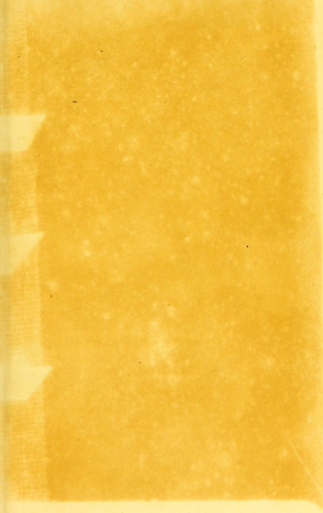 digitised image 3