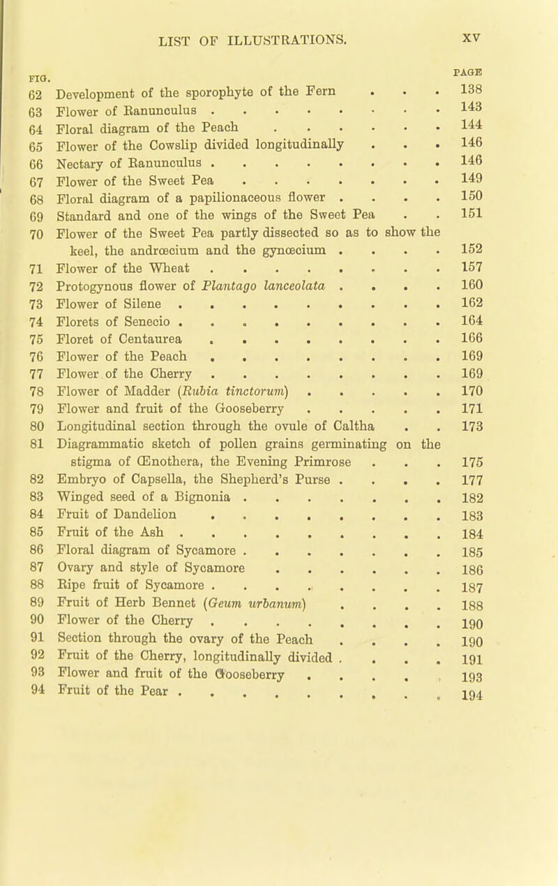 FIO. G2 Development of the sporophyte of the Fern . . . 138 63 Flower of Eanunculus 1^3 64 Floral diagram of the Peach 144 65 Flower of the Cowslip divided longitudinally . . • 146 66 Nectary of Eanunculus 146 67 Flower of the Sweet Pea 149 68 Floral diagram of a papilionaceous flower .... 150 69 Standard and one of the wings of the Sweet Pea . . 151 70 Flower of the Sweet Pea partly dissected so as to show the keel, the androecium and the gynoecium .... 152 71 Flower of the Wheat 157 72 Protogynous flower of Plantago lanceolata .... 160 73 Flower of Silene 162 74 Florets of Senecio 164 75 Floret of Centaurea 166 76 Flower of the Peach 169 77 Flower of the Cherry 169 78 Flower of Madder (Buhia tinctorum) 170 79 Flower and fruit of the Gooseberry 171 80 Longitudinal section through the ovule of Caltha . . 173 81 Diagrammatic sketch of pollen grains germinating on the stigma of CEnothera, the Evening Primrose . . . 175 82 Embryo of CapseUa, the Shepherd's Purse .... 177 83 Winged seed of a Bignonia 182 84 Fruit of Dandelion 183 85 Fruit of the Ash 184 86 Floral diagram of Sycamore 185 87 Ovary and style of Sycamore 186 88 Eipe fruit of Sycamore ........ 187 89 Fruit of Herb Bennet (Geum urbanum) .... 188 90 Flower of the Cherry igg 91 Section through the ovary of the Peach .... IQO 92 Fruit of the Cherry, longitudinally divided . ... 191 93 Flower and fruit of the Gooseberry I93 94 Fruit of the Pear I94