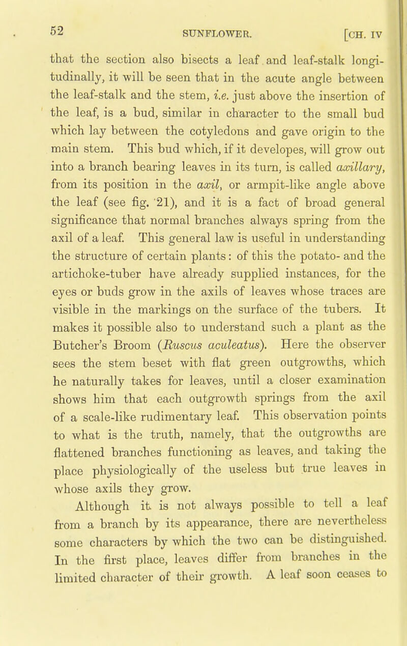 that the section also bisects a leaf and leaf-stalk longi- tudinally, it will be seen that in the acute angle between the leaf-stalk and the stem, i.e. just above the insertion of the leaf, is a bud, similar in character to the small bud which lay between the cotyledons and gave origin to the main stem. This bud which, if it developes, will grow out into a branch bearing leaves in its turn, is called axillary, from its position in the axil, or armpit-like angle above the leaf (see fig. '21), and it is a fact of broad general significance that normal branches always spring from the axil of a leaf This general law is useful in imderstanding the structure of certain plants: of this the potato- and the artichoke-tuber have already supplied instances, for the eyes or buds grow in the axils of leaves whose traces are visible in the markings on the surface of the tubers. It makes it possible also to understand such a plant as the Butcher's Broom (Ruscics aculeatus). Here the observer sees the stem beset with flat green outgrowths, which he naturally takes for leaves, until a closer examination shows him that each outgrowth springs from the axil of a scale-like rudimentary leaf. This observation points to what is the truth, namely, that the outgrowths are flattened branches functioning as leaves, and taking the place physiologically of the useless but true leaves in whose axils they grow. Although it is not always possible to tell a leaf from a branch by its appearance, there are nevertheless some characters by which the two can be distinguished. In the first place, leaves differ from branches in the limited character of their growth. A leaf soon ceases to