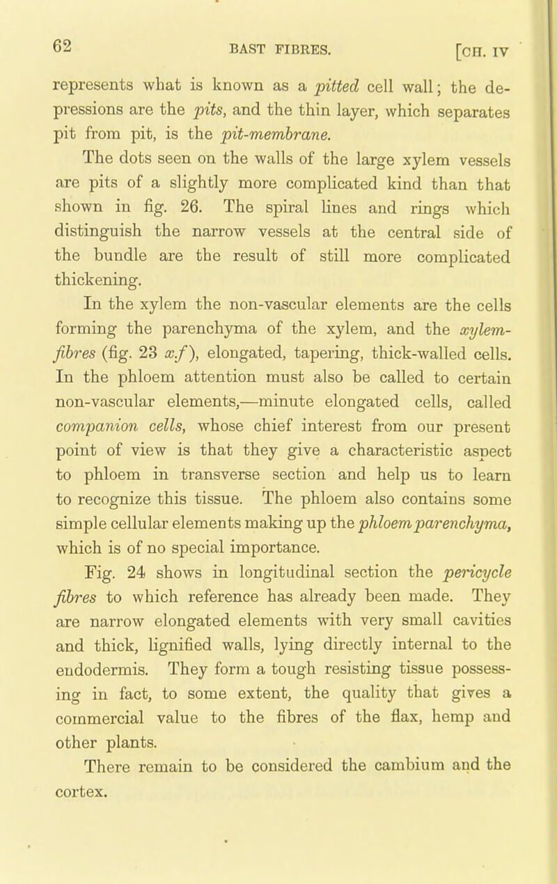 represents what is known as a pitted cell wall; the de- pressions are the pits, and the thin layer, which separates pit from pit, is the pit-membrane. The dots seen on the walls of the large xylem vessels are pits of a slightly more complicated kind than that shown in fig. 26. The spiral lines and rings which distinguish the narrow vessels at the central side of the bundle are the result of still more complicated thickening. In the xylem the non-vascular elements are the cells forming the parenchyma of the xylem, and the xylem- fihres (fig. 23 x.f), elongated, tapering, thick-walled cells. In the phloem attention must also be called to certain non-vascular elements,—minute elongated cells, called companion cells, whose chief interest from our present point of view is that they give a characteristic aspect to phloem in transverse section and help us to learn to recognize this tissue. The phloem also contains some simple cellular elements making up the phloem parenchyma, which is of no special importance. Fig. 24 shows in longitudinal section the pericycle fibres to which reference has already been made. They are narrow elongated elements with very small cavities and thick, lignified walls, lying directly internal to the endodermis. They form a tough resisting tissue possess- ing in fact, to some extent, the quality that gives a commercial value to the fibres of the flax, hemp and other plants. There remain to be considered the cambium and the cortex.