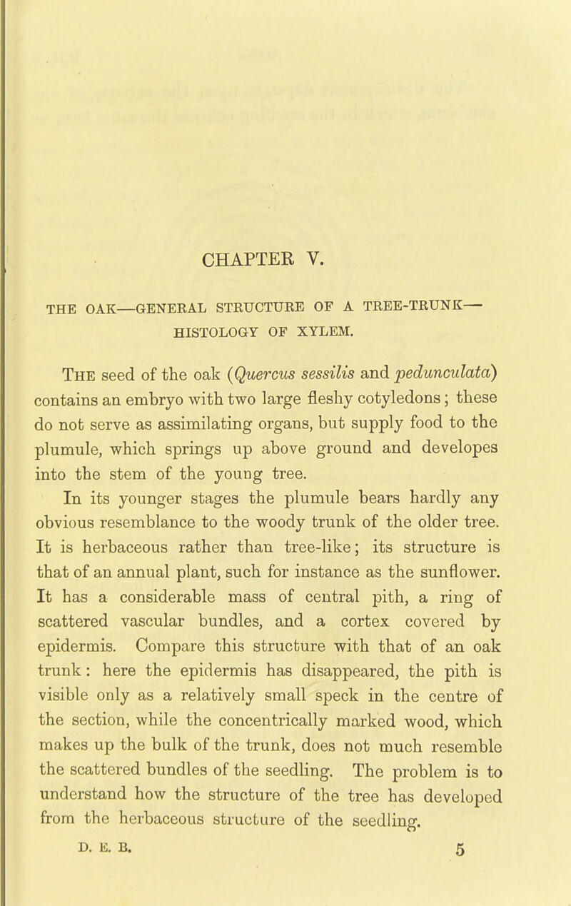 THE OAK—GENERAL STRUCTURE OF A TREE-TRUNK— HISTOLOGY OF XYLEM. The seed of the oak (Quercus sessilis and pedunculata) contains an embryo with two large fleshy cotyledons; these do not serve as assimilating organs, but supply food to the plumule, which springs up above ground and developes into the stem of the young tree. In its younger stages the plumule bears hardly any obvious resemblance to the woody trunk of the older tree. It is herbaceous rather than tree-like; its structure is that of an annual plant, such for instance as the sunflower. It has a considerable mass of central pith, a ring of scattered vascular bundles, and a cortex covered by epidermis. Compare this structure with that of an oak trunk: here the epidermis has disappeared, the pith is visible only as a relatively small speck in the centre of the section, while the concentrically marked wood, which makes up the bulk of the trunk, does not much resemble the scattered bundles of the seedling. The problem is to understand how the structure of the tree has developed from the herbaceous structure of the seedling. D. E. B. 5