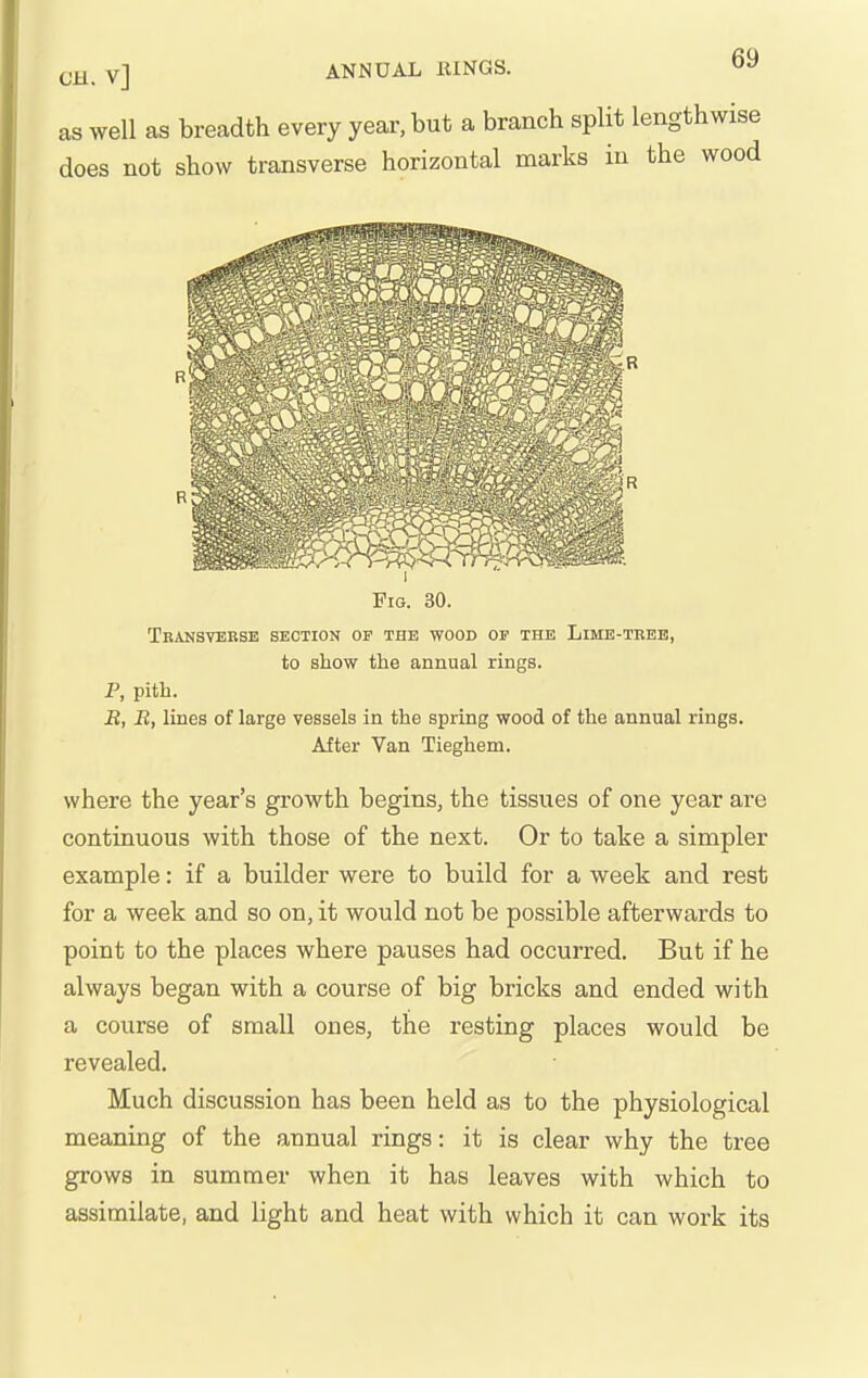 as well as breadth every year, but a branch split lengthwise does not show transverse horizontal marks in the wood Transverse section of the wood of the Lime-tebb, to show the annual rings. P, pith. E, R, lines of large vessels in the spring wood of the annual rings. After Van Tieghem. where the year's growth begins, the tissues of one year are continuous with those of the next. Or to take a simpler example: if a builder were to build for a week and rest for a week and so on, it would not be possible afterwards to point to the places where pauses had occurred. But if he always began with a course of big bricks and ended with a course of small ones, the resting places would be revealed. Much discussion has been held as to the physiological meaning of the annual rings: it is clear why the tree grows in summer when it has leaves with which to assimilate, and light and heat with which it can work its