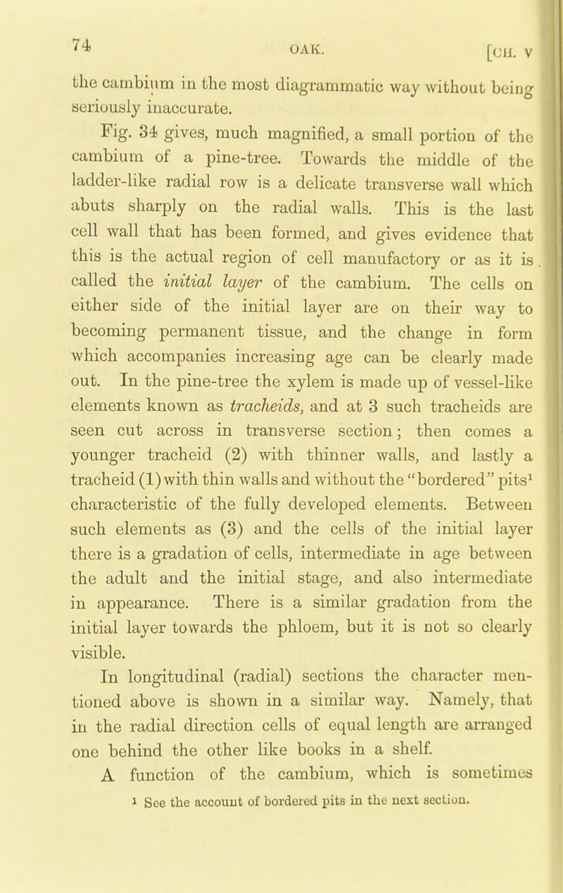 the cambium in the most diagrammatic way without being seriously inaccurate. Fig. 34 gives, much magnified, a small portion of the cambium of a pine-tree. Towards the middle of the ladder-like radial row is a delicate transverse wall which abuts sharply on the radial walls. This is the last cell wall that has been formed, and gives evidence that this is the actual region of cell manufactory or as it is called the initial layer of the cambium. The cells on either side of the initial layer are on their way to becoming permanent tissue, and the change in form which accompanies increasing age can be clearly made out. In the pine-tree the xylem is made up of vessel-Hke elements known as tracheids, and at 3 such tracheids are seen cut across in transverse section; then comes a younger tracheid (2) with thinner walls, and lastly a tracheid (1) with thin walls and without the bordered pits' characteristic of the fully developed elements. Between such elements as (3) and the cells of the initial layer there is a gradation of cells, intermediate in age between the adult and the initial stage, and also intermediate in appearance. There is a similar gradation from the initial layer towards the phloem, but it is not so clearly visible. In longitudinal (radial) sections the character men- tioned above is shown in a similar way. Namely, that in the radial direction cells of equal length are arranged one behind the other like books in a shelf. A function of the cambium, which is sometimes