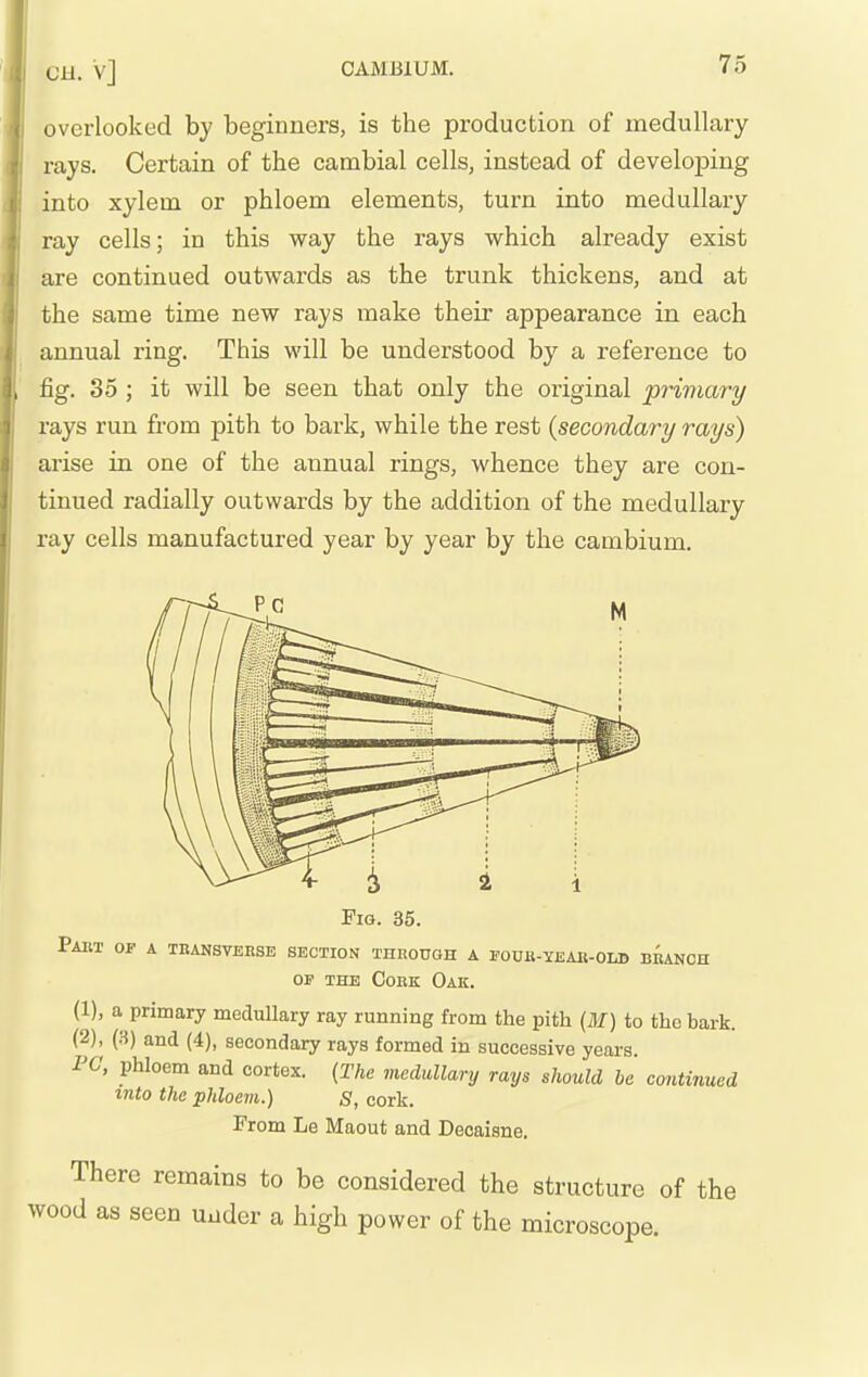 overlooked hy beginners, is the production of medullary rays. Certain of the cambial cells, instead of developing into xylem or phloem elements, turn into medullary ray cells; in this way the rays which already exist are continued outwards as the trunk thickens, and at the same time new rays make their appearance in each annual ring. This will be understood by a reference to fig. 35 ; it will be seen that only the original primary rays run from pith to bark, while the rest {secondary rays) arise in one of the annual rings, whence they are con- tinued radially outwards by the addition of the medullary ray cells manufactured year by year by the cambium. Fig. 35. Pam of a transverse section through a fodr-yeae-old branch OP THE Cork Oak. (1) , a primary medullary ray running from the pith (M) to the bark. (2) , (H) and (4), secondary rays formed in successive years. PC, phloem and cortex. {The medullary rays should be continued into the phloem.) S, cork. From Le Maout and Decaisne. There remains to be considered the structure of the wood as seen under a high power of the microscope.