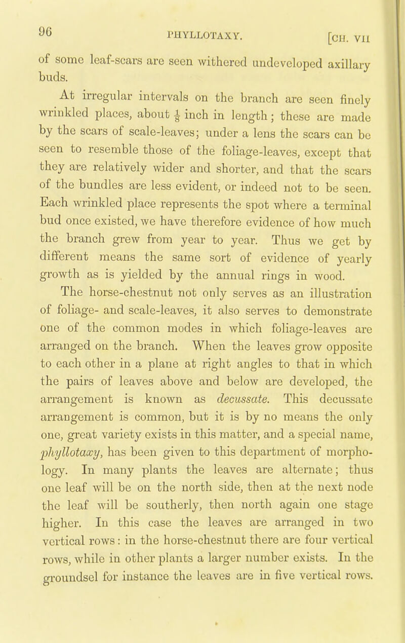 of some leaf-scars are seen withered undeveloped axillary buds. At irregular intervals on the branch are seen finely wrinkled places, about ^ inch in length; these are made by the scars of scale-leaves; under a lens the scars can be seen to resemble those of the foliage-leaves, except that they are relatively wider and shorter, and that the scars of the bundles are less evident, or indeed not to be seen. Each wrinkled place represents the spot where a terminal bud once existed, we have therefore evidence of how much the branch grew from year to year. Thus we get by different means the same sort of evidence of yearly growth as is yielded by the annual rings in wood. The horse-chestnut not only serves as an illustration of foliage- and scale-leaves, it also serves to demonstrate one of the common modes in which foliage-leaves are arranged on the branch. When the leaves grow opposite to each other in a plane at right angles to that in which the pairs of leaves above and below are develojDed, the arrangement is known as decussate. This decussate arrangement is common, but it is by no means the only one, great variety exists in this matter, and a special name, phyllotaxy, has been given to this department of morpho- logy. In many plants the leaves are alternate; thus one leaf will be on the north side, then at the next node the leaf will be southerly, then north again one stage higher. In this case the leaves are arranged in two vertical rows: in the horse-chestnut there are four vertical rows, while in other plants a larger number exists. In the groundsel for instance the leaves are in five vertical rows.