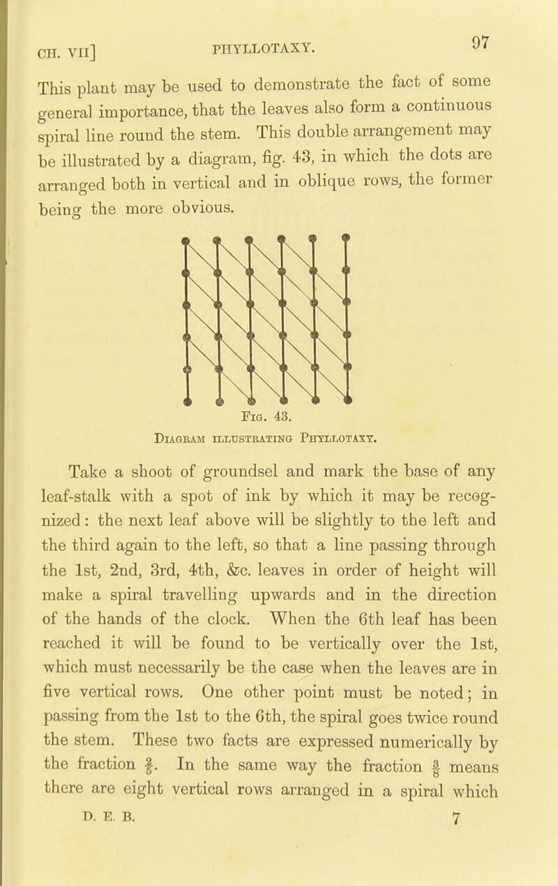 This plant may be used to demonstrate the fact of some general importance, that the leaves also form a continuous spiral line round the stem. This double arrangement may be illustrated by a diagram, fig. 43, in which the dots are arranged both in vertical and in oblique rows, the former being the more obvious. Fig. 43. Diagram iiiLTjstbating Phyllotaxy. Take a shoot of groundsel and mark the base of any leaf-stalk with a spot of ink by which it may be recog- nized : the next leaf above will be slightly to the left and the third again to the left, so that a line passing through the 1st, 2nd, 3rd, 4th, &c. leaves in order of height will make a spiral travelling upwards and in the direction of the hands of the clock. When the 6th leaf has been reached it will be found to be vertically over the 1st, which must necessarily be the case when the leaves are in five vertical rows. One other point must be noted; in passing from the 1st to the 6th, the spiral goes twice round the stem. These two facts are expressed numerically by the fraction |. In the same way the fraction | means there are eight vertical rows arranged in a spiral which D. E. B. 7