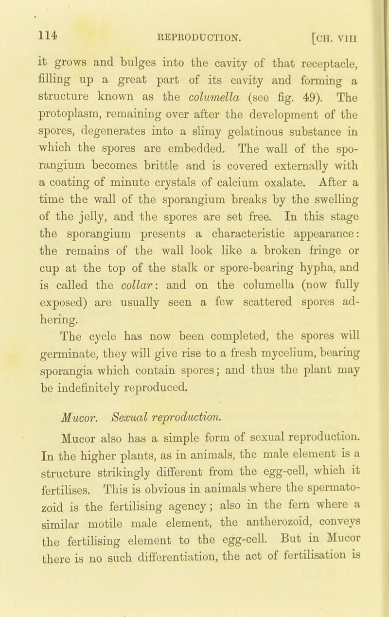 it grows and bulges into the cavity of that receptacle, filling up a great part of its cavity and forming a structure known as the columella (see fig. 49). The protoplasm, remaining over after the development of the spores, degenerates into a slimy gelatinous substance in which the spores are embedded. The wall of the spo- rangium becomes brittle and is covered extei-nally with a coating of minute crystals of calcium oxalate. After a time the wall of the sporangium breaks by the swelling of the jelly, and the spores are set free. In this stage the sporangium presents a characteristic appearance: the remains of the wall look like a broken fringe or cup at the top of the stalk or spore-bearing hypha, and is called the collar: and on the columella (now fully exposed) are usually seen a few scattered spores ad- hering. The cycle has now been completed, the spores will germinate, they will give rise to a fresh mycelium, bearing sporangia which contain spores; and thus the plant may be indefinitely reproduced. Mucor. Seocual reproduction. Mucor also has a simple form of sexual reproduction. In the higher plants, as in animals, the male element is a structure strikingly different from the egg-cell, which it fertilises. This is obvious in animals where the spermato- zoid is the fertilising agency; also in the fern where a similar motile male element, the antherozoid, conveys the fertilising element to the egg-cell. But in Mucor there is no such difierentiation, the act of fertilisation is