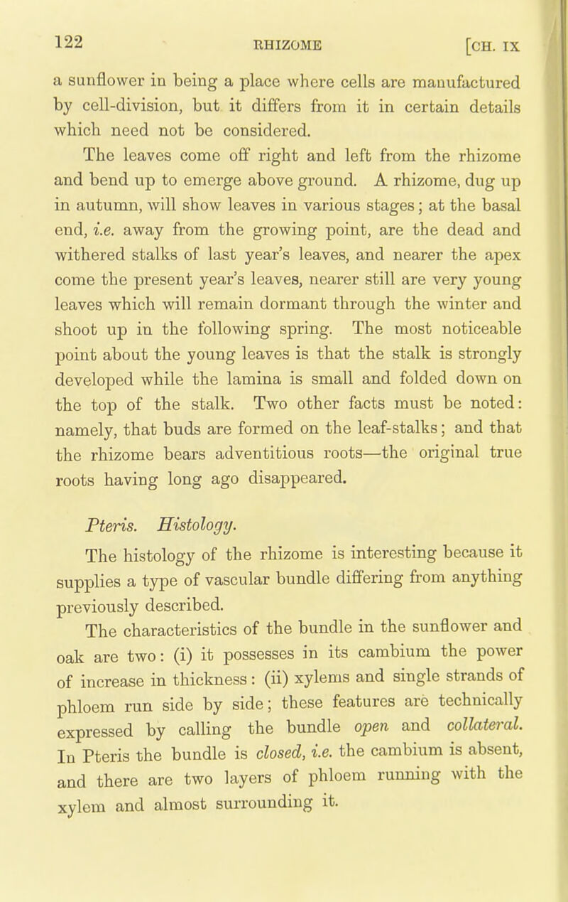 a sunflower in being a place where cells are manufactured by cell-division, but it differs from it in certain details which need not be considered. The leaves come off right and left from the rhizome and bend up to emerge above ground. A rhizome, dug up in autumn, will show leaves in various stages; at the basal end, i.e. away from the growing point, are the dead and withered stalks of last year's leaves, and nearer the apex come the present year's leaves, nearer still are very young leaves which will remain dormant through the winter and shoot up in the following spring. The most noticeable point about the young leaves is that the stalk is strongly developed while the lamina is small and folded down on the top of the stalk. Two other facts must be noted: namely, that buds are formed on the leaf-stalks; and that the rhizome bears adventitious roots—the original true roots having long ago disappeared. Pteris. Histology. The histology of the rhizome is interesting because it supplies a type of vascular bundle differing from anything previously described. The characteristics of the bundle in the sunflower and oak are two: (i) it possesses in its cambium the power of increase in thickness: (ii) xylems and single strands of phloem run side by side; these features are technically expressed by calling the bundle open and collateral. In Pteris the bundle is closed, i.e. the cambium is absent, and there are two layers of phloem running with the xylem and almost surrounding it.