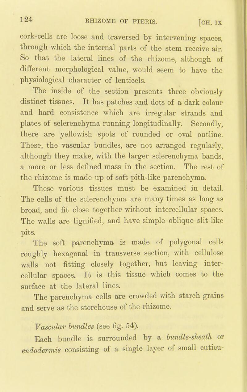 cork-cells are loose and traversed by intervening spaces, through which the internal parts of the stem receive air. So that the lateral lines of the rhizome, although of different morphological value, would seem to have the physiological character of lenticels. The inside of the section presents three obviously distinct tissues. It has patches and dots of a dark colour and hard consistence which are irregular strands and plates of sclerenchyma running longitudinally. Secondly, there are yellowish spots of rounded or oval outline. These, the vascular bundles, are not arranged regularly, although they make, with the larger sclerenchjnna bands, a more or less defined mass in the section. The rest of the rhizome is made up of soft pith-like parenchyma. These various tissues must be examined in detail. The cells of the sclerenchyma are many times as long as broad, and fit close together without intercellular spaces. The walls are lignified, and have simple oblique slit-like pits. The soft parenchyma is made of polygonal cells roughly hexagonal in transverse section, with cellulose walls not fitting closely together, but leaving inter- cellular spaces. It is this tissue which comes to the surface at the lateral lines. The parenchyma cells are crowded with stai-ch grains and serve as the storehouse of the rhizome. Vascular bundles (see fig. 54). Each bundle is surrounded by a hundle-sheath or endodermis consisting of a single layer of small cuticu-