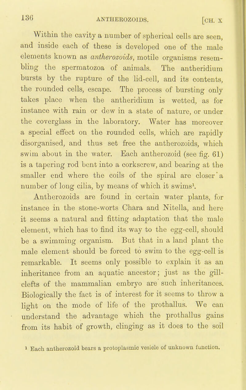■13G ANTHEROZOIDS. [CH. X Within the cavity a number of spherical cells are seen, and inside each of these is developed one of the male elements known as antherozoids, motile organisms resem- bling the spermatozoa of animals. The antheridiura bursts by the rupture of the lid-cell, and its contents, the rounded cells, escape. The process of bursting only takes place when the antheridium is wetted, as for instance with rain or dew in a state of nature, or under the coverglass in the laboratory. Water has moreover a special elTect on the rounded cells, which are rapidly disorganised, and thus set free the antherozoids, which swim about in the water. Each antherozoid (see fig. 61) is a tapering rod bent into a corkscrew, and bearing at the smaller end where the coils of the spiral are closer'a number of long cilia, by means of which it swims\ Antherozoids are found in certain water plants, for instance in the stone-worts Chara and Nitella, and here it seems a natural and fitting adaptation that the male element, which has to find its way to the egg-cell, should be a swimming organism. But that in a land plant the male element should be forced to swim to the egg-cell is remarkable. It seems only possible to explain it as an inheritance from an aquatic ancestor; just as the gill- clefts of the mammalian embryo are such inheritances. Biologically the fact is of interest for it seems to throw a light on the mode of life of the prothallus. We can understand the advantage which the prothallus gains from its habit of growth, clinging as it does to the soil 1 Each antherozoid bears a protoplasraic vesicle of unknown function.