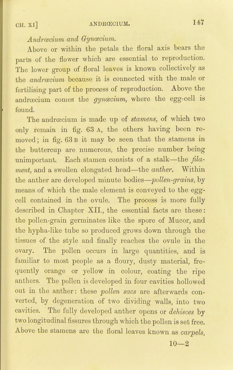 Andrcecium and Gynoecium. Above or within the petals the floral axis bears the parts of the flower which are essential to reproduction. The lower group of floral leaves is known collectively as the andrcecium because it is connected with the male or fertilising part of the process of reproduction. Above the andrcecium comes the gyncecium, where the egg-cell is found. The andrcecium is made up of stamens, of which two only remain in fig. 63 A, the others having been re- moved; in fig. 63 b it may be seen that the stamens in the buttercup are numerous, the precise number being unimportant. Each stamen consists of a stalk—the fila- ment, and a swollen elongated head—the anther. Within the anther are developed minute bodies—pollen-grains, by means of which the male element is conveyed to the egg- cell contained in the ovule. The process is more fully described in Chapter XII., the essential facts are these: the pollen-grain germinates like the spore of Mucor, and the hypha-like tube so produced grows down through the tissues of the style and finally reaches the ovule in the ovary. The pollen occurs in large quantities, and is familiar to most people as a floury, dusty material, fre- quently orange or yellow in colour, coating the ripe anthers. The pollen is developed in four cavities hollowed out in the anther: these pollen sacs are afterwards con- verted, by degeneration of two dividing walls, into two cavities. The fully developed anther opens or dehisces by two longitudinal fissures through which the pollen is set free. Above the stamens are the floral leaves known as carpels, 10—2